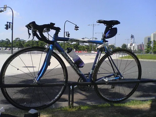 運動しまくった（と思う）