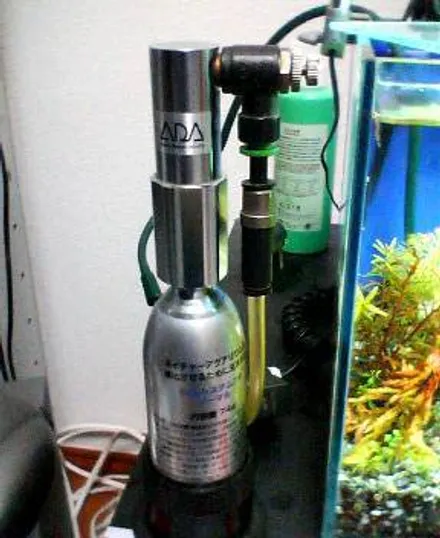 Cover Image of the Post