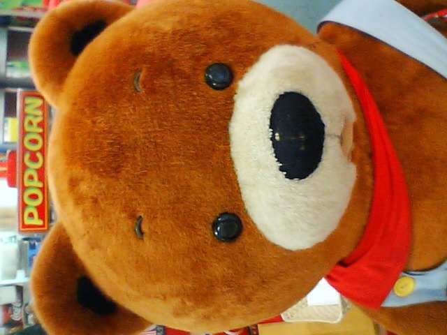 写真～　いろいろ