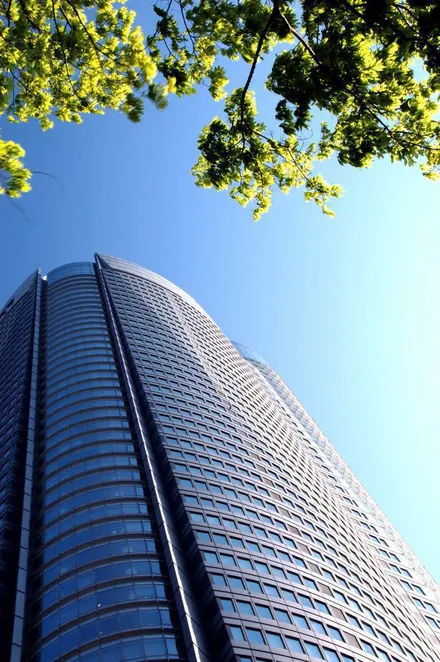 Cover Image of the Post