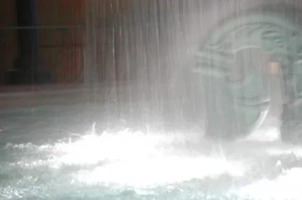 Cover Image of the Post