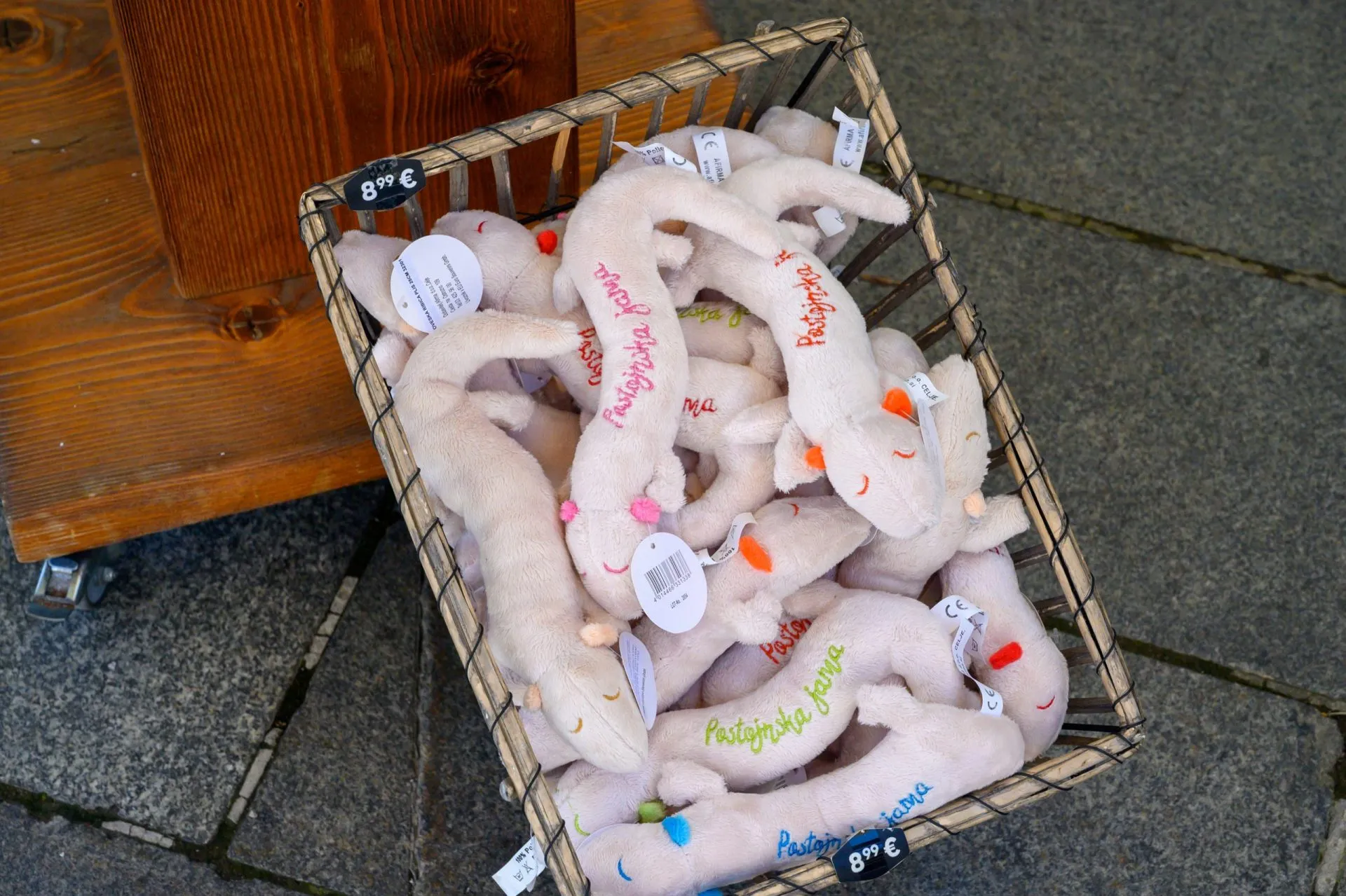 ホライモリ（ヒューマンフィッシュ）