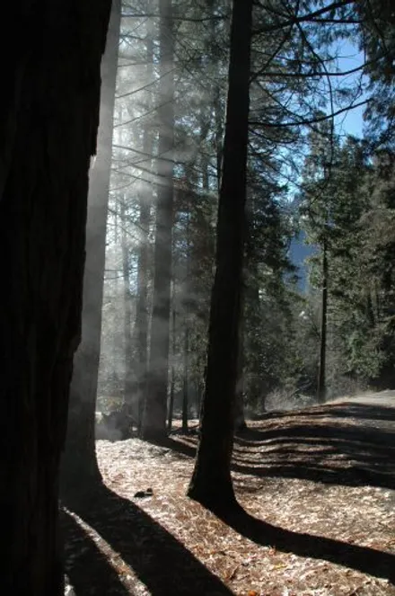 Cover Image of the Post