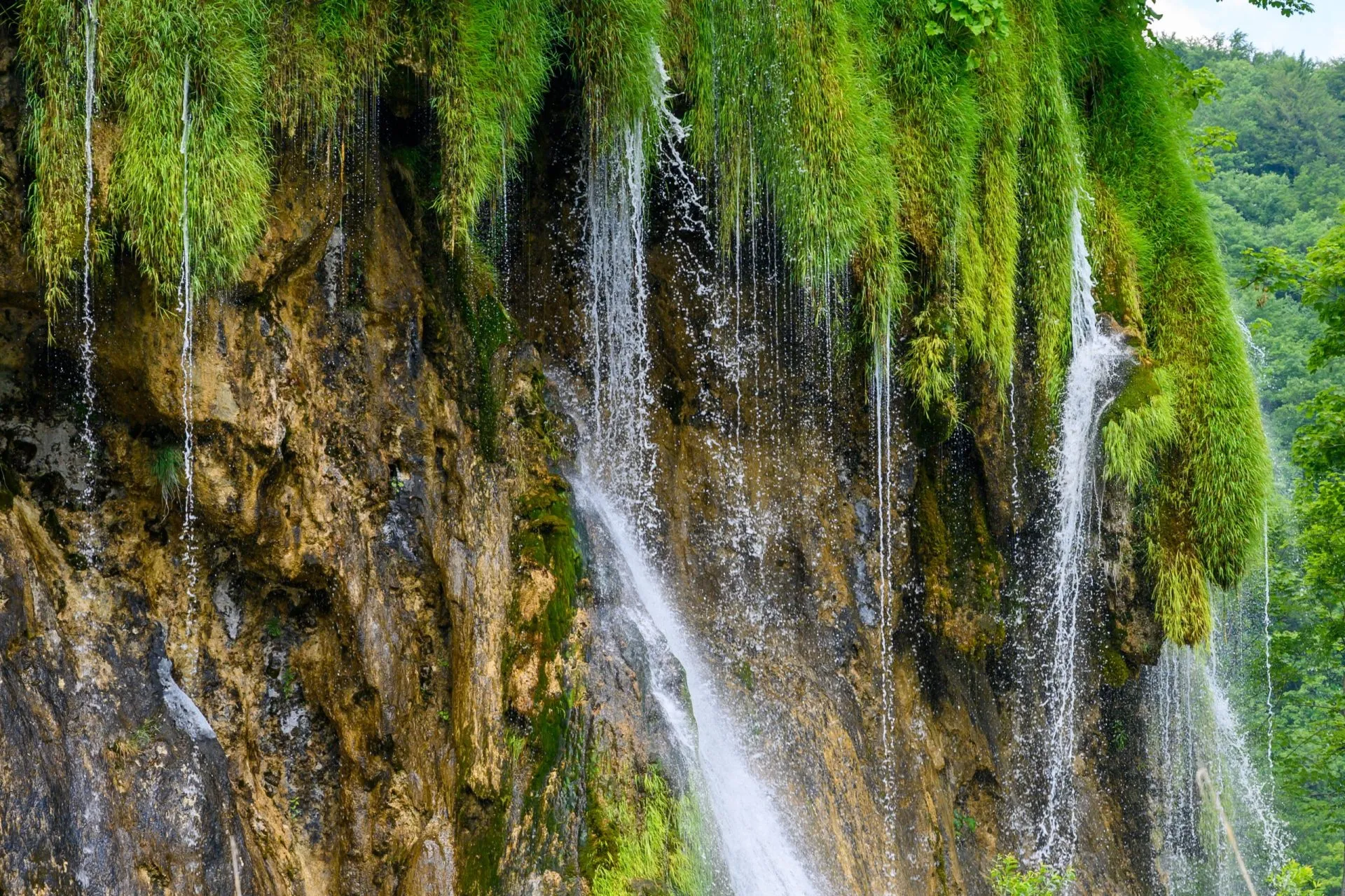 岩と水と草の自然の風景