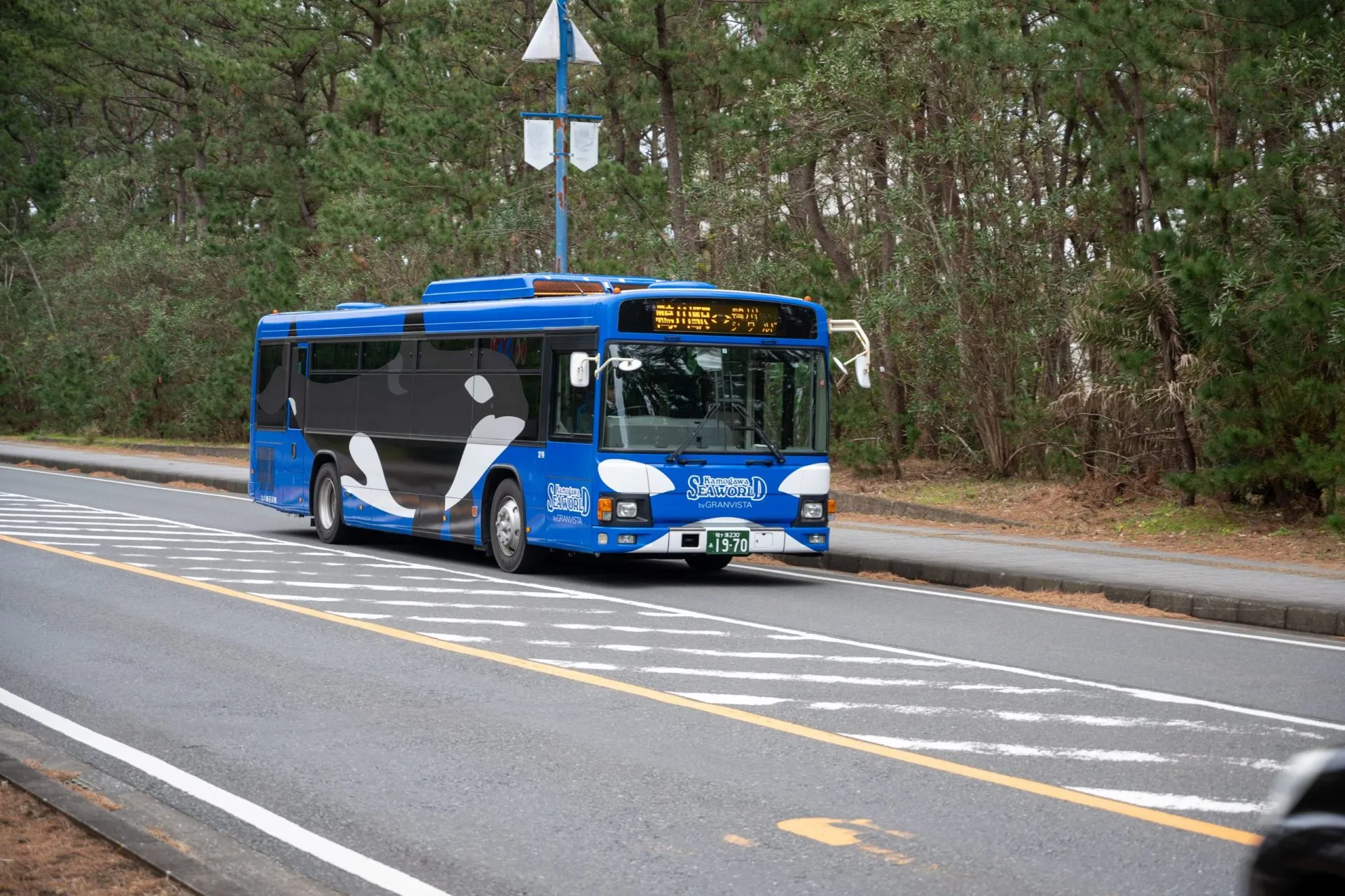 鴨川シーワールドの展示