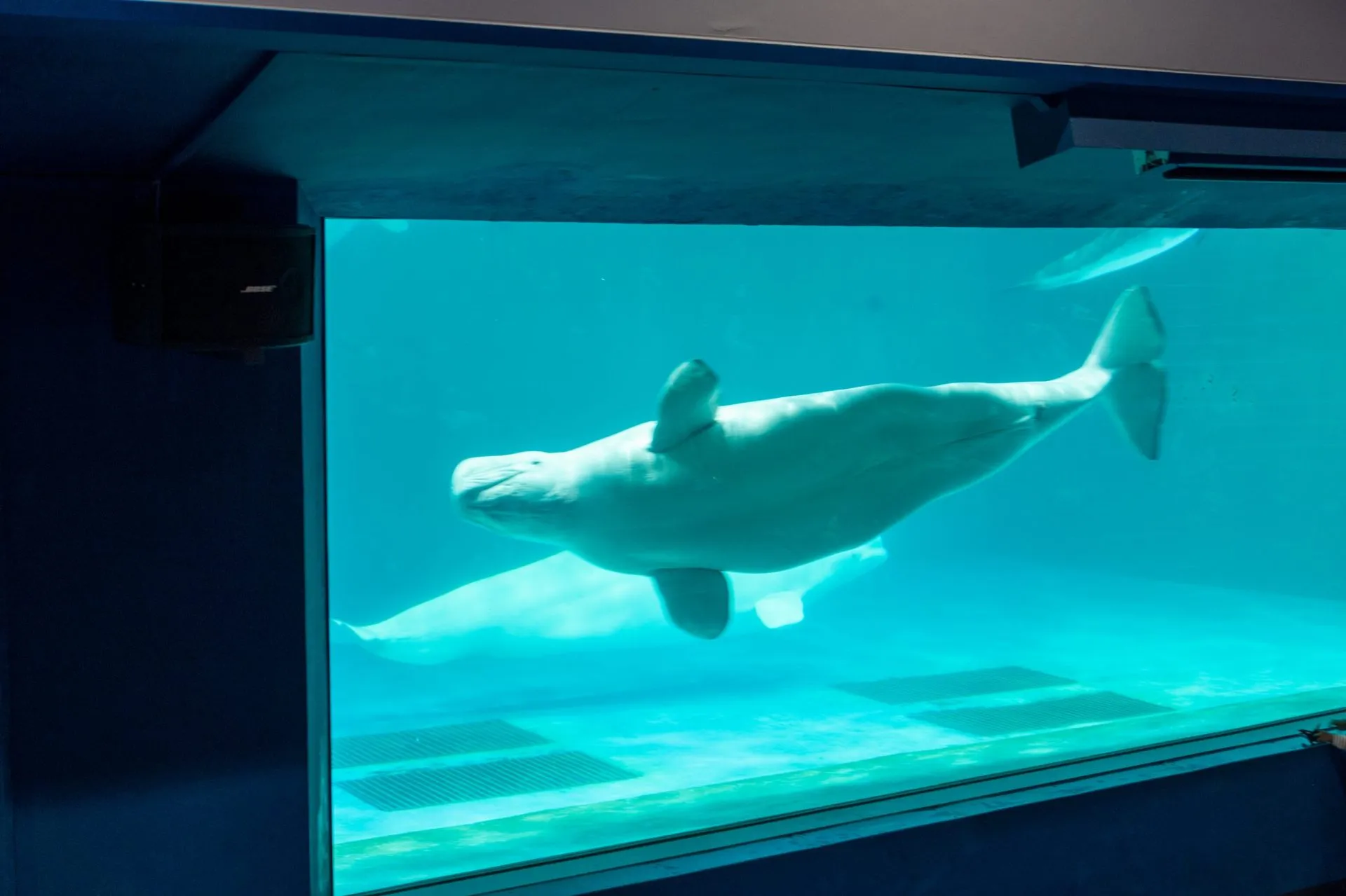 鴨川シーワールドの展示