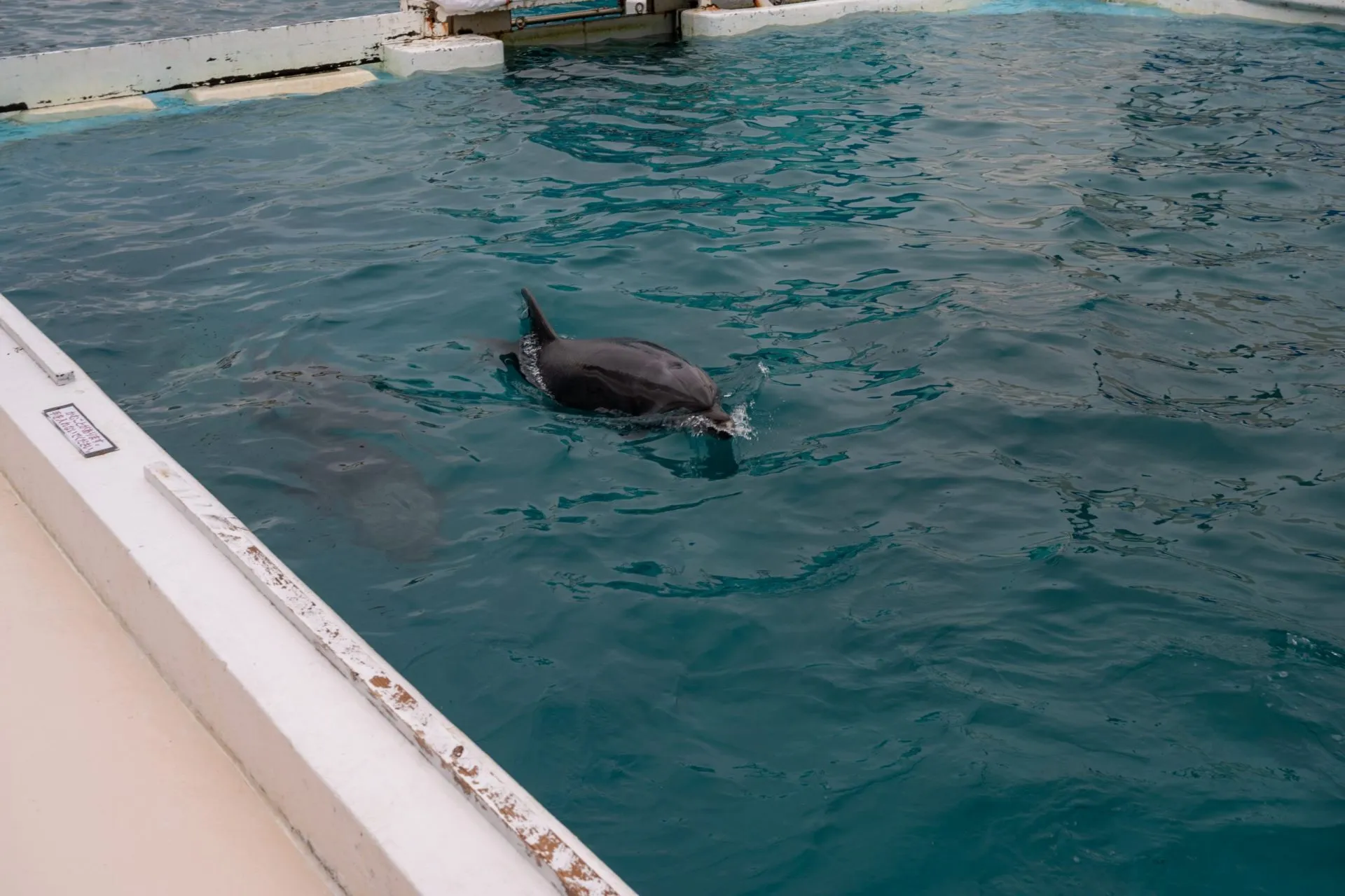 鴨川シーワールドの展示