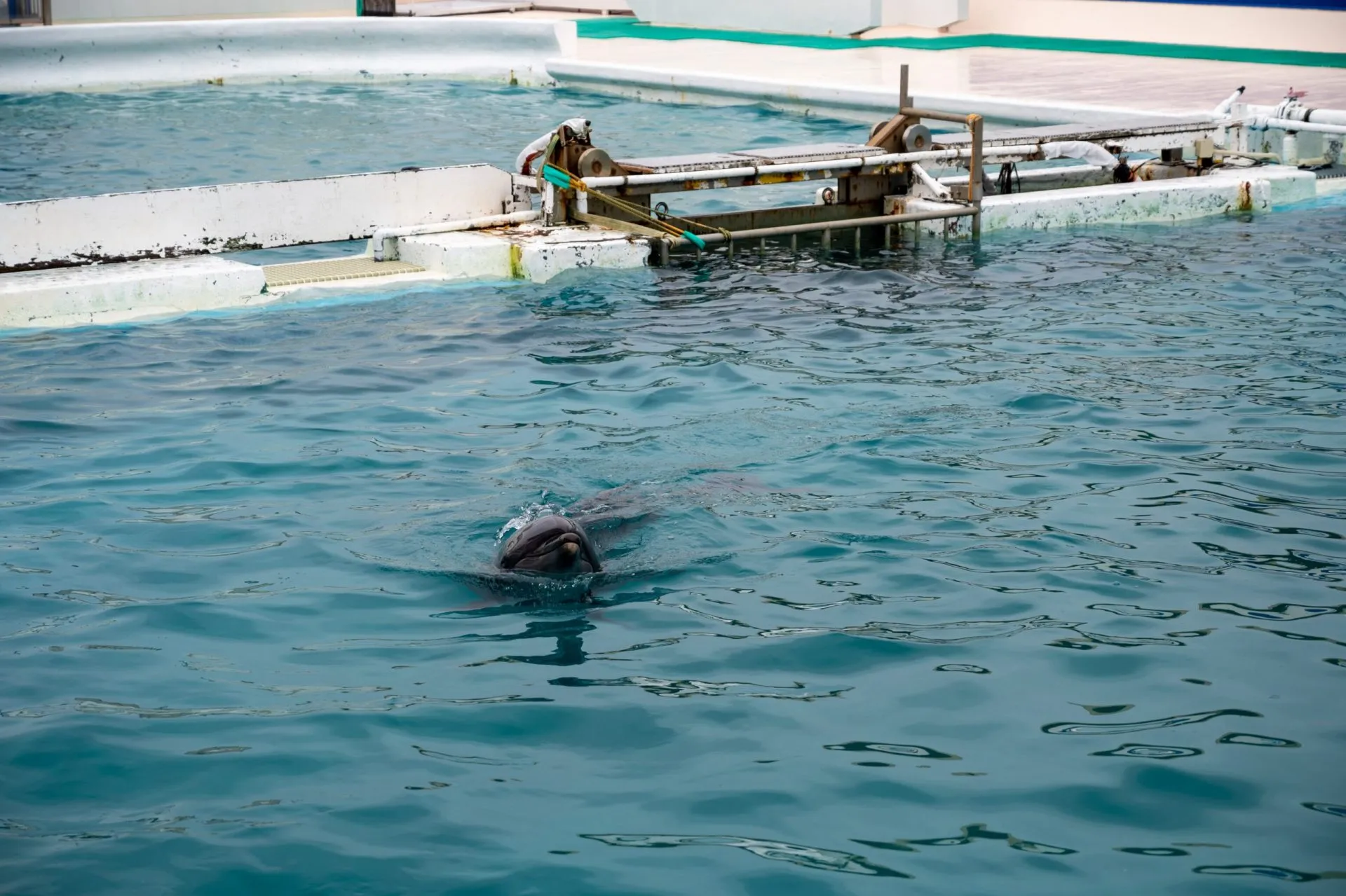 鴨川シーワールドの展示
