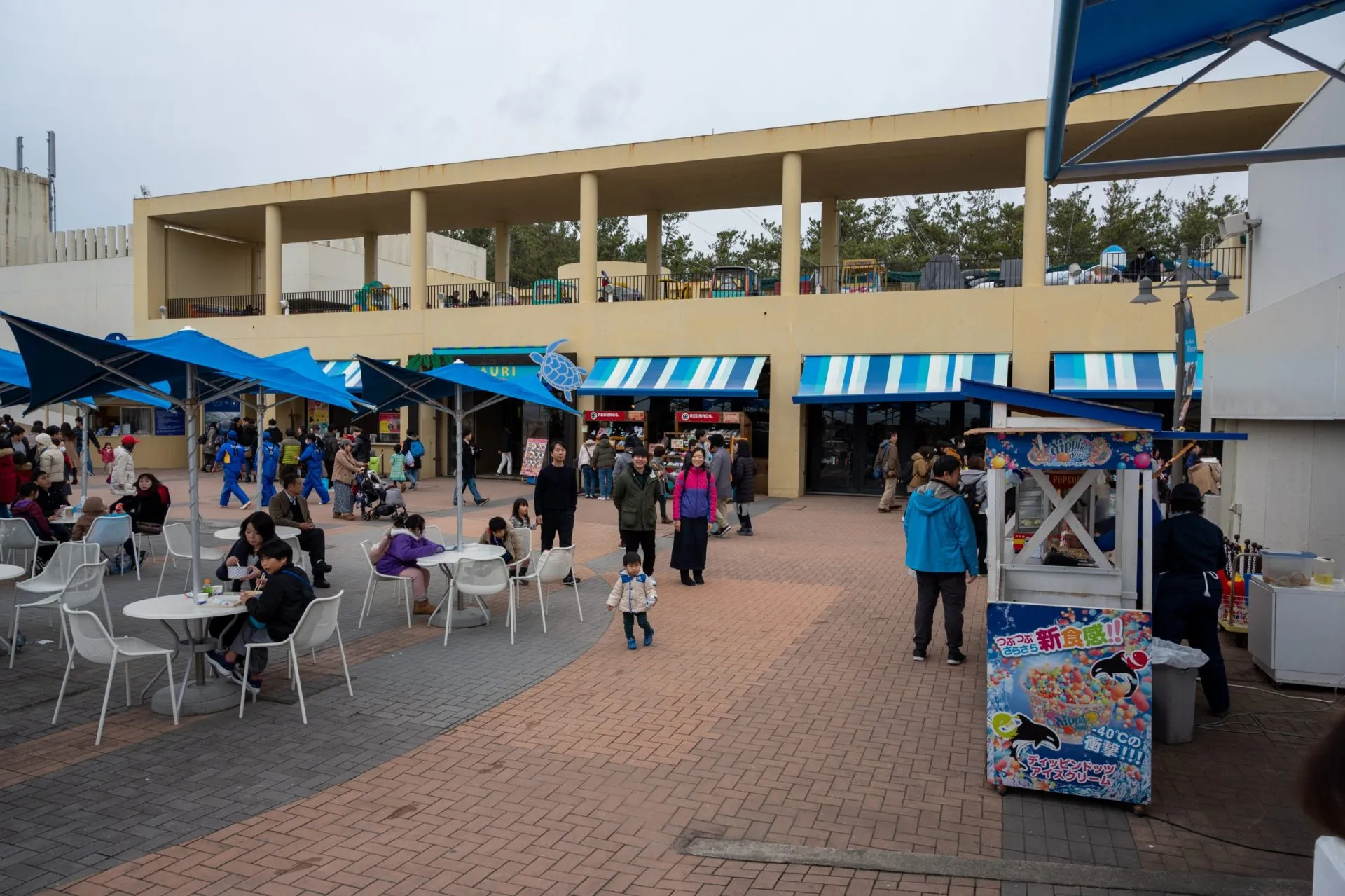 鴨川シーワールドの展示