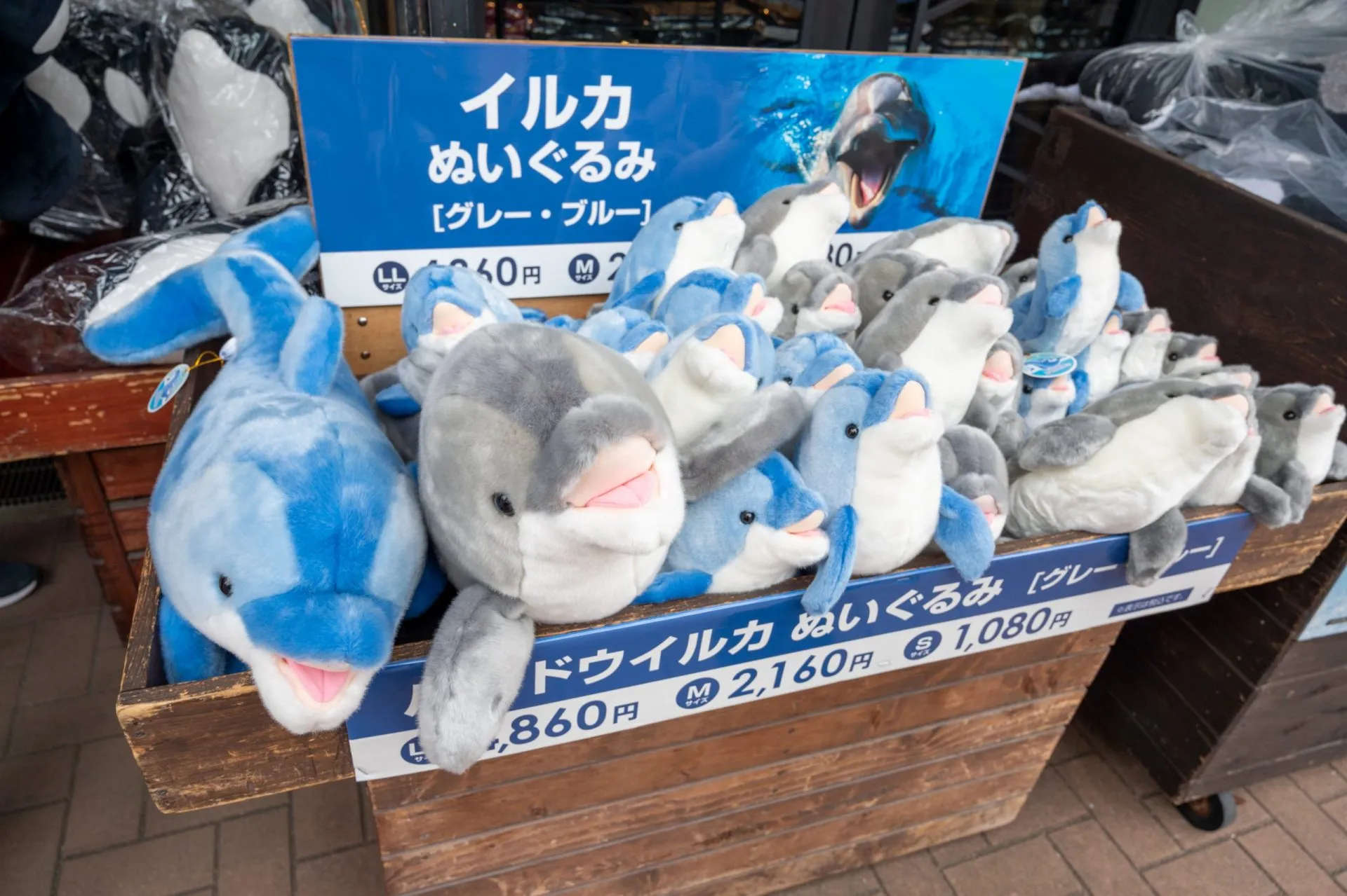 鴨川シーワールドの展示