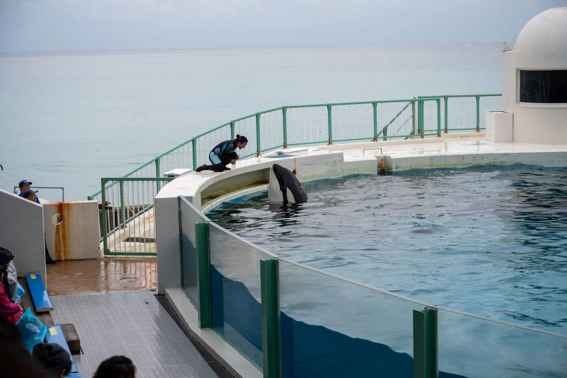 鴨川シーワールドの展示