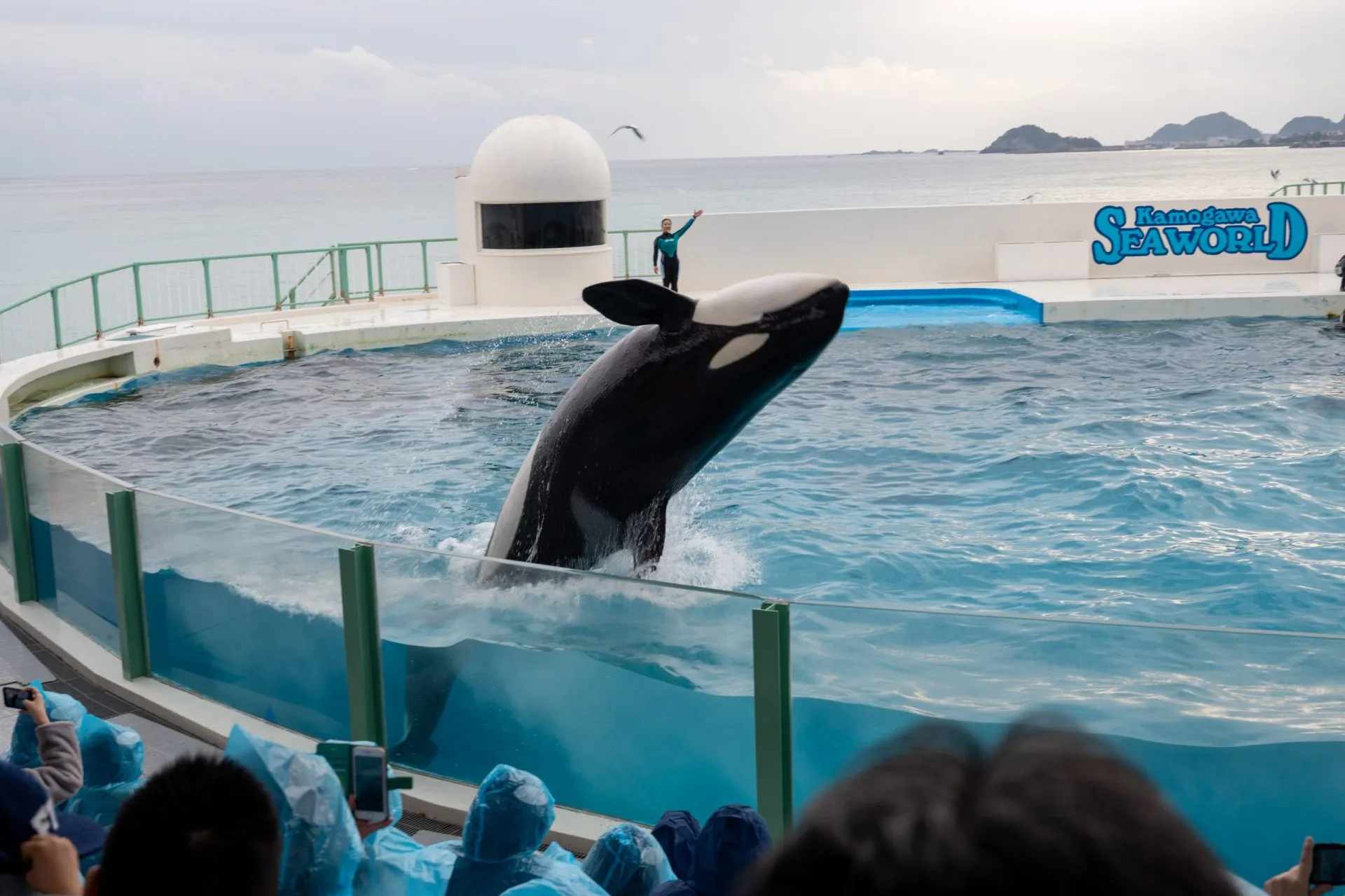 鴨川シーワールドの展示
