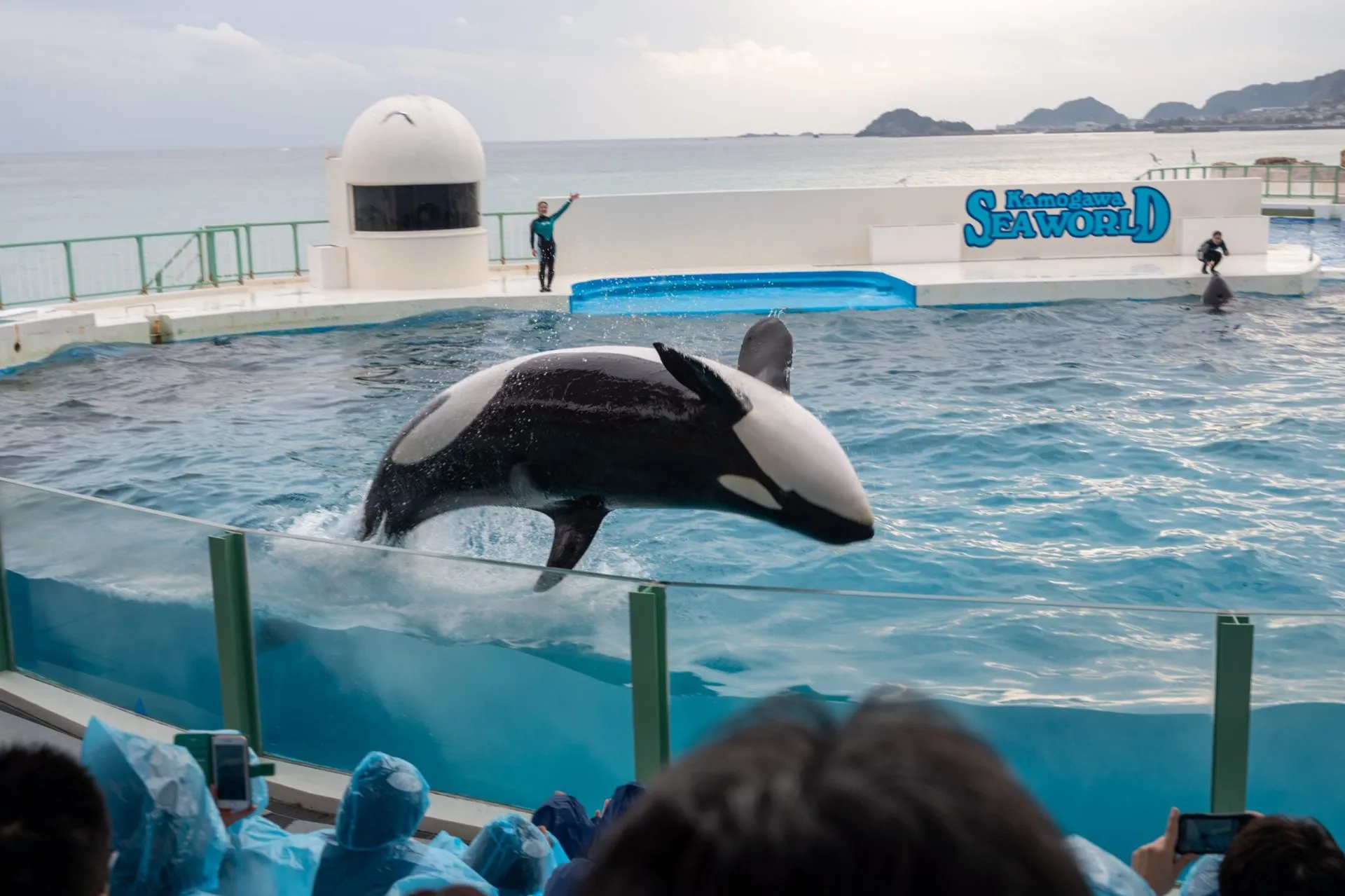 鴨川シーワールドの展示