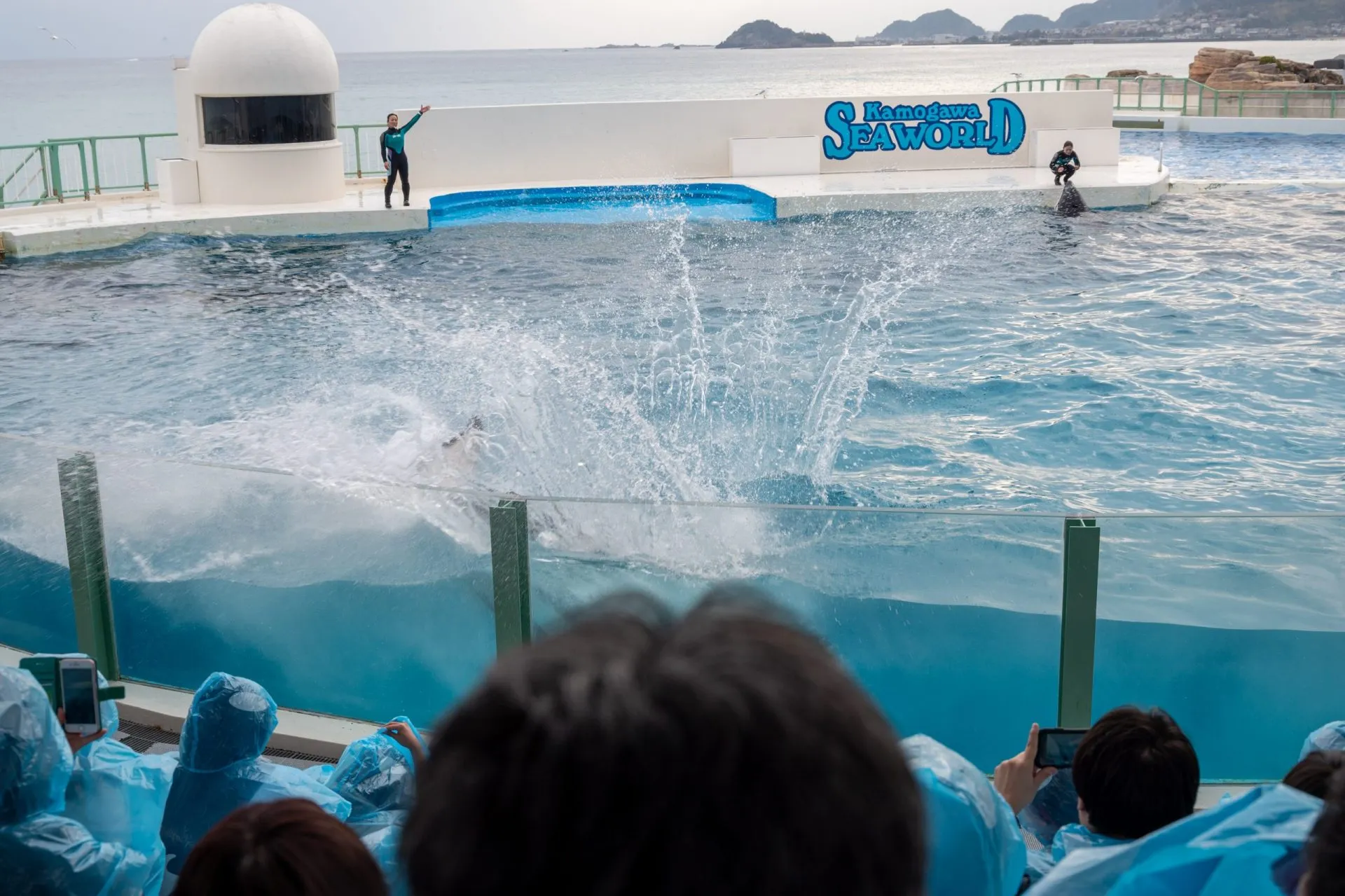 鴨川シーワールドの展示