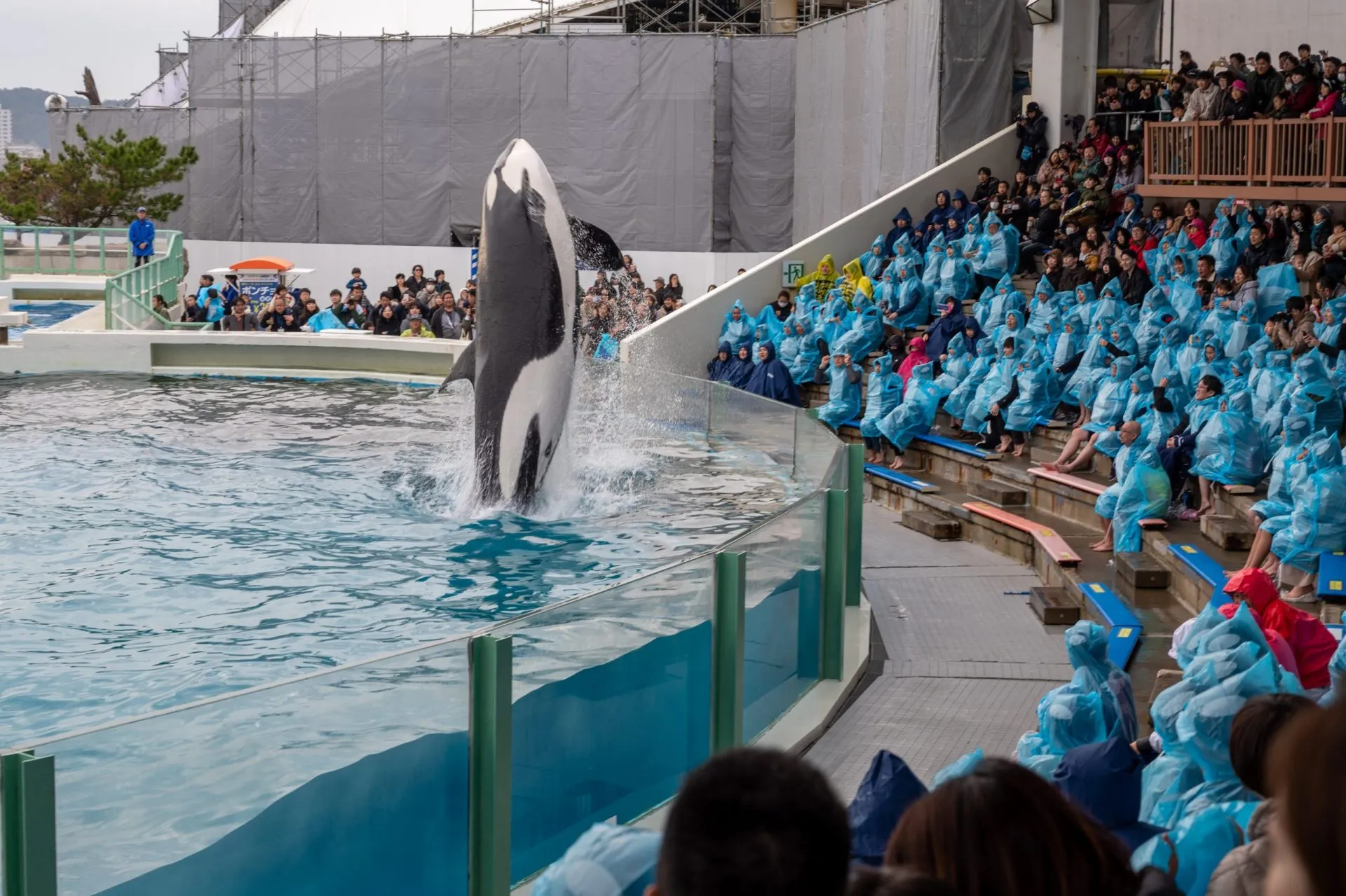 鴨川シーワールドの展示