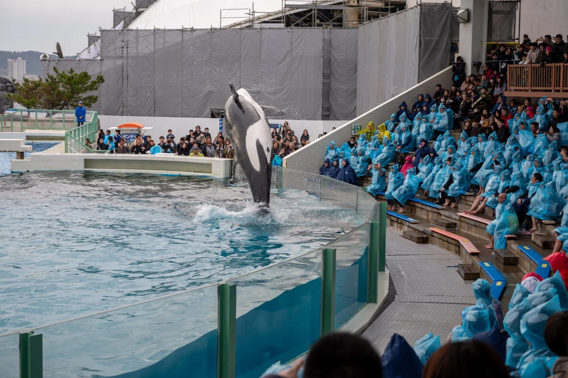 鴨川シーワールドの展示