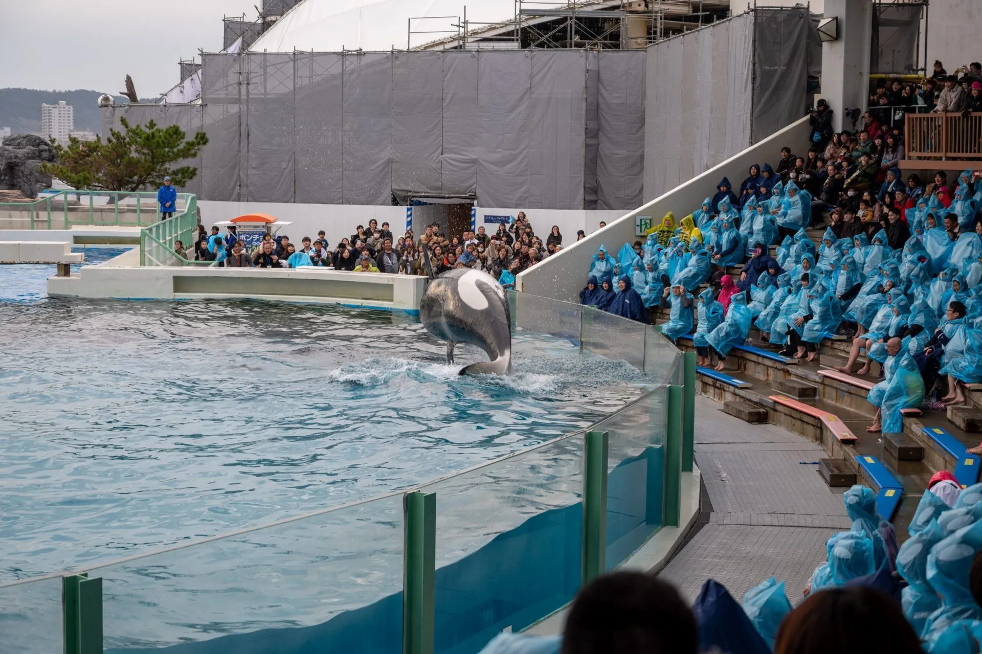 鴨川シーワールドの展示