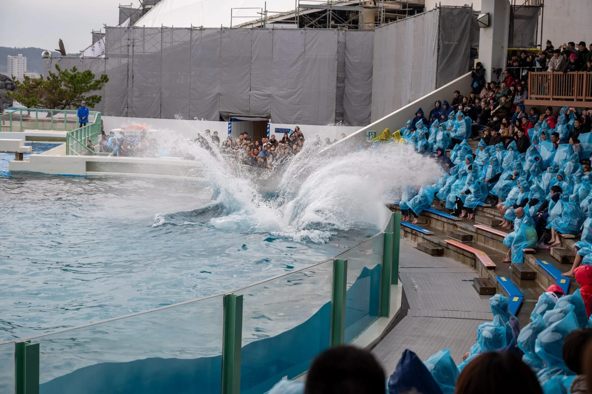 鴨川シーワールドの展示