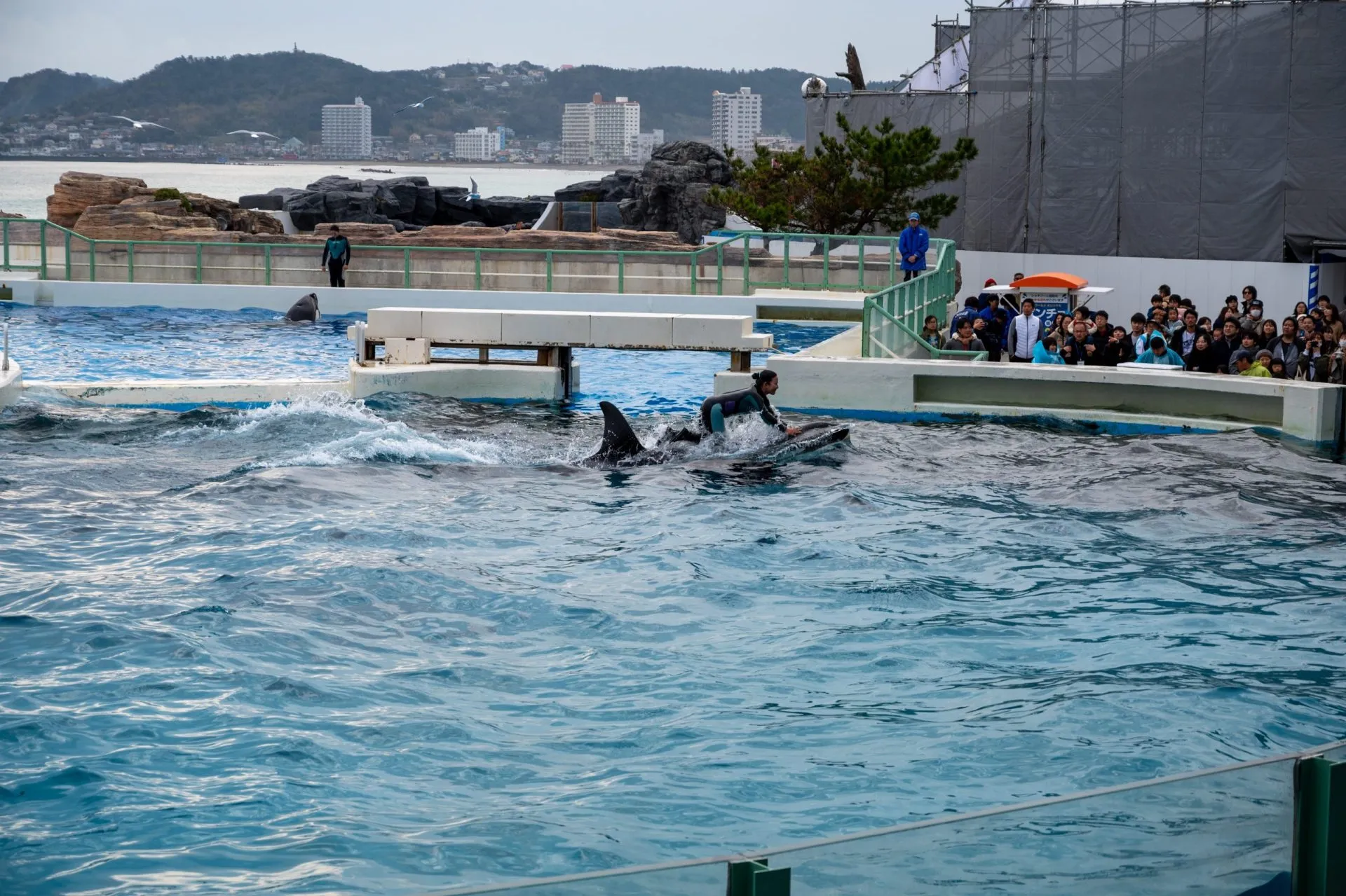 鴨川シーワールドの展示