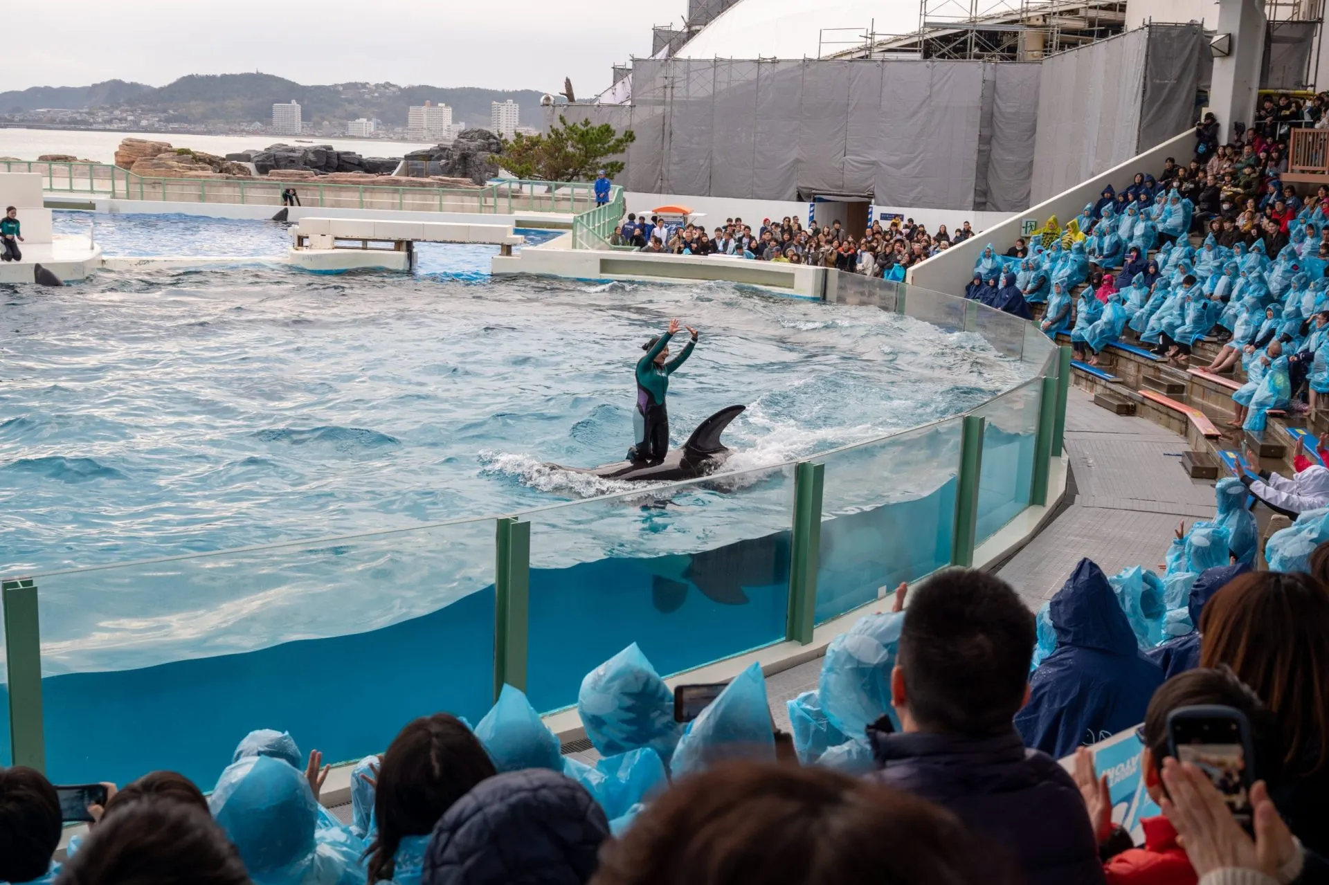 鴨川シーワールドの展示