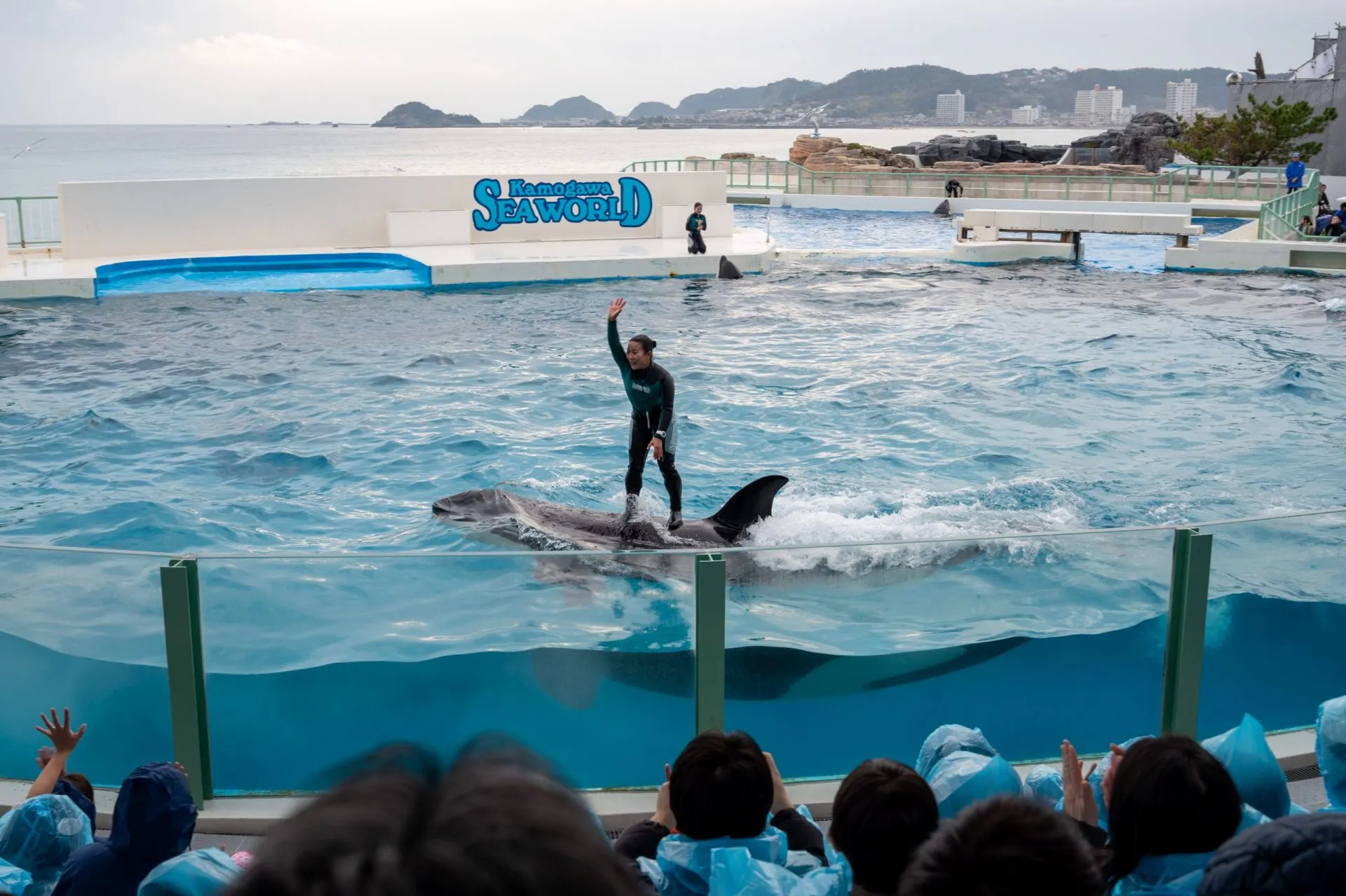 鴨川シーワールドの展示