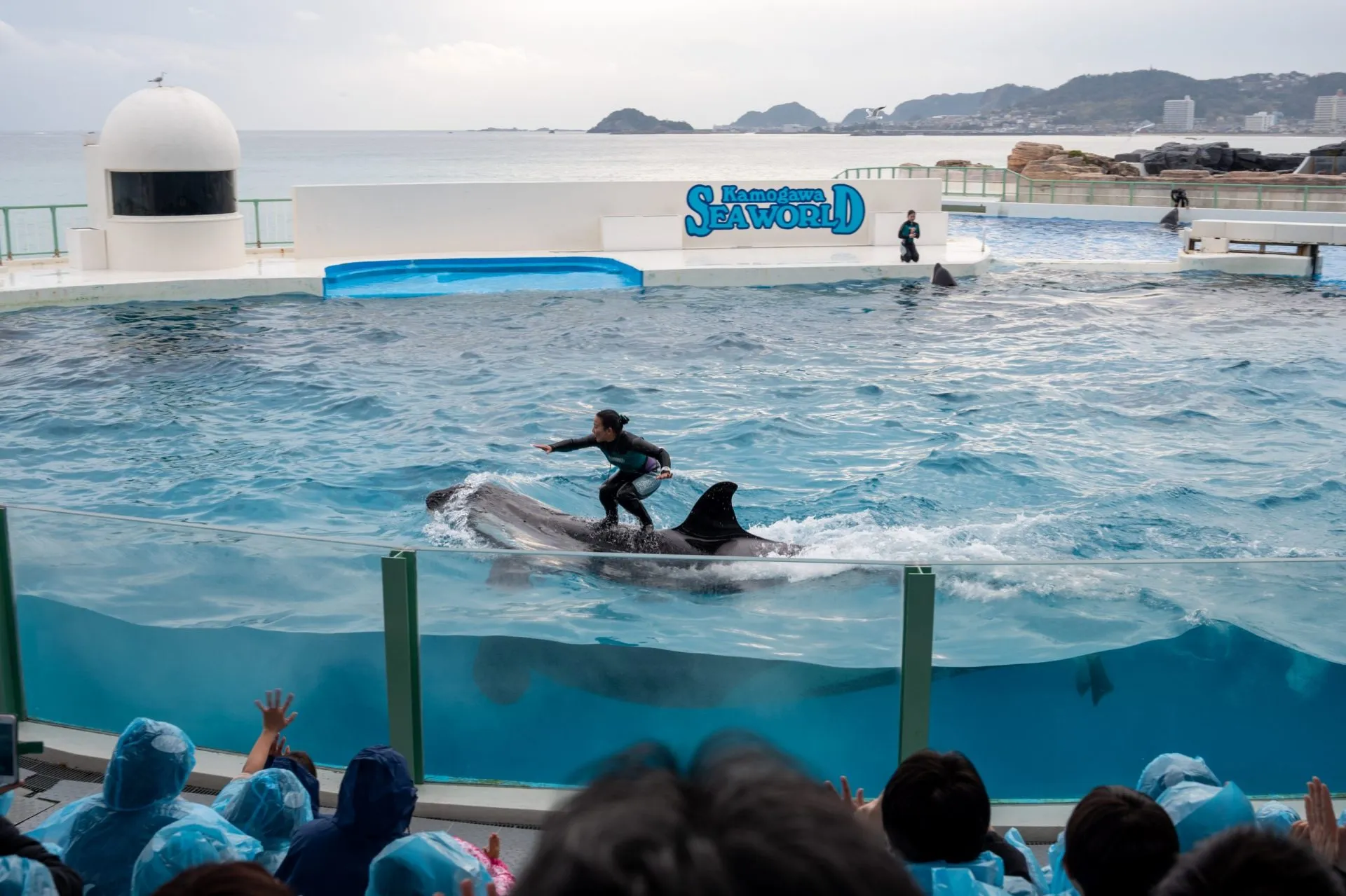 鴨川シーワールドの展示