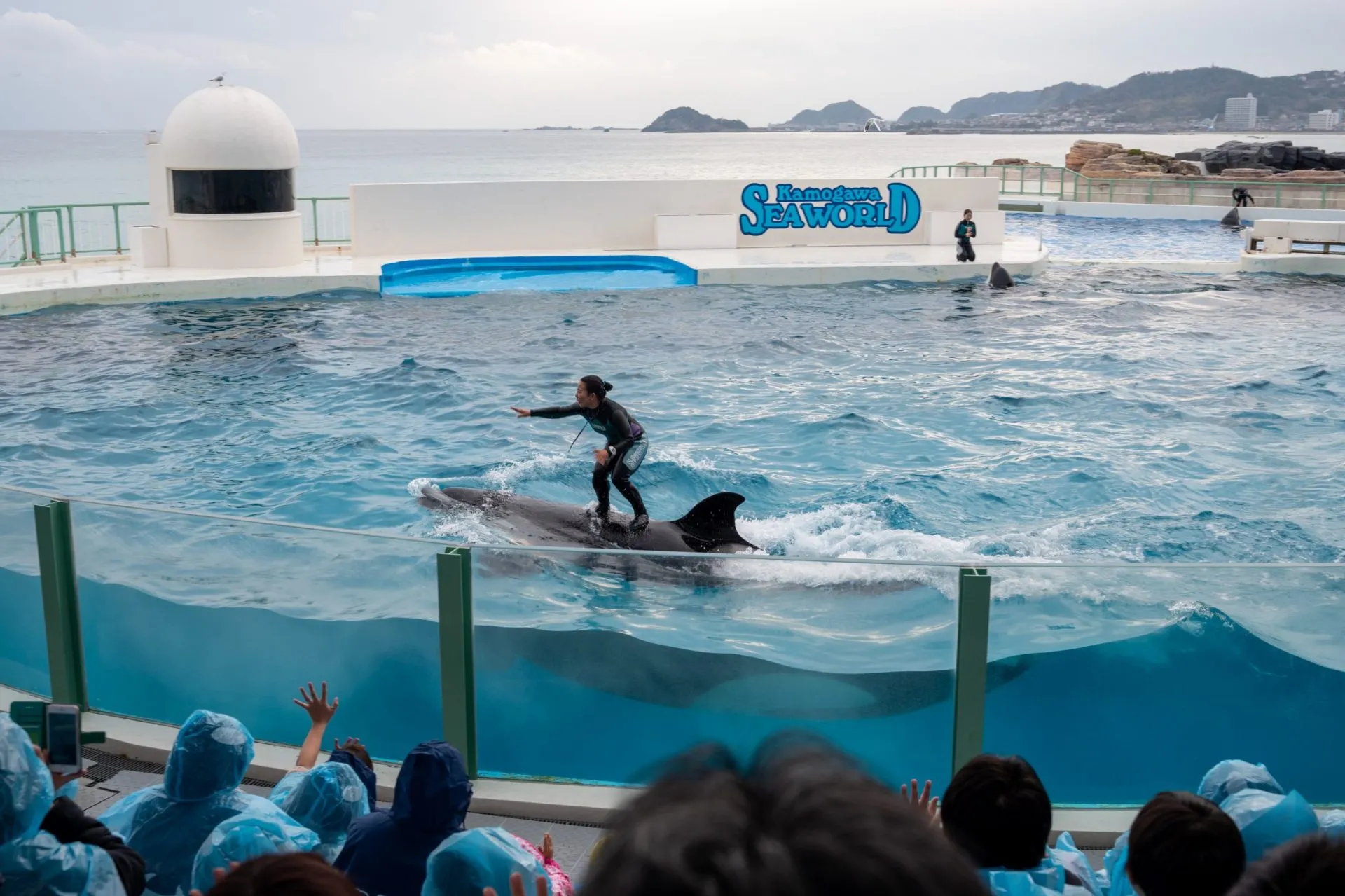 鴨川シーワールドの展示