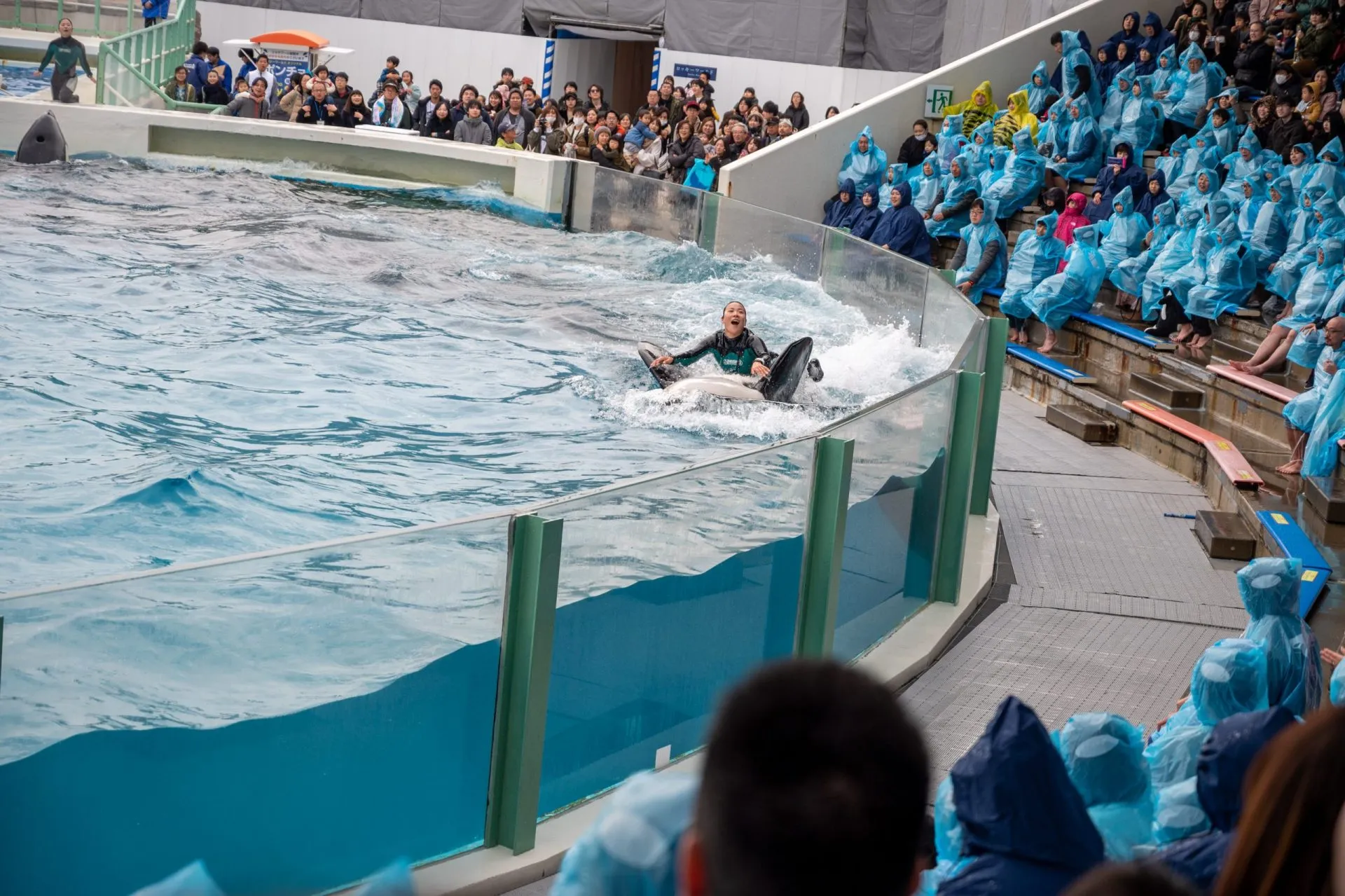 鴨川シーワールドの展示