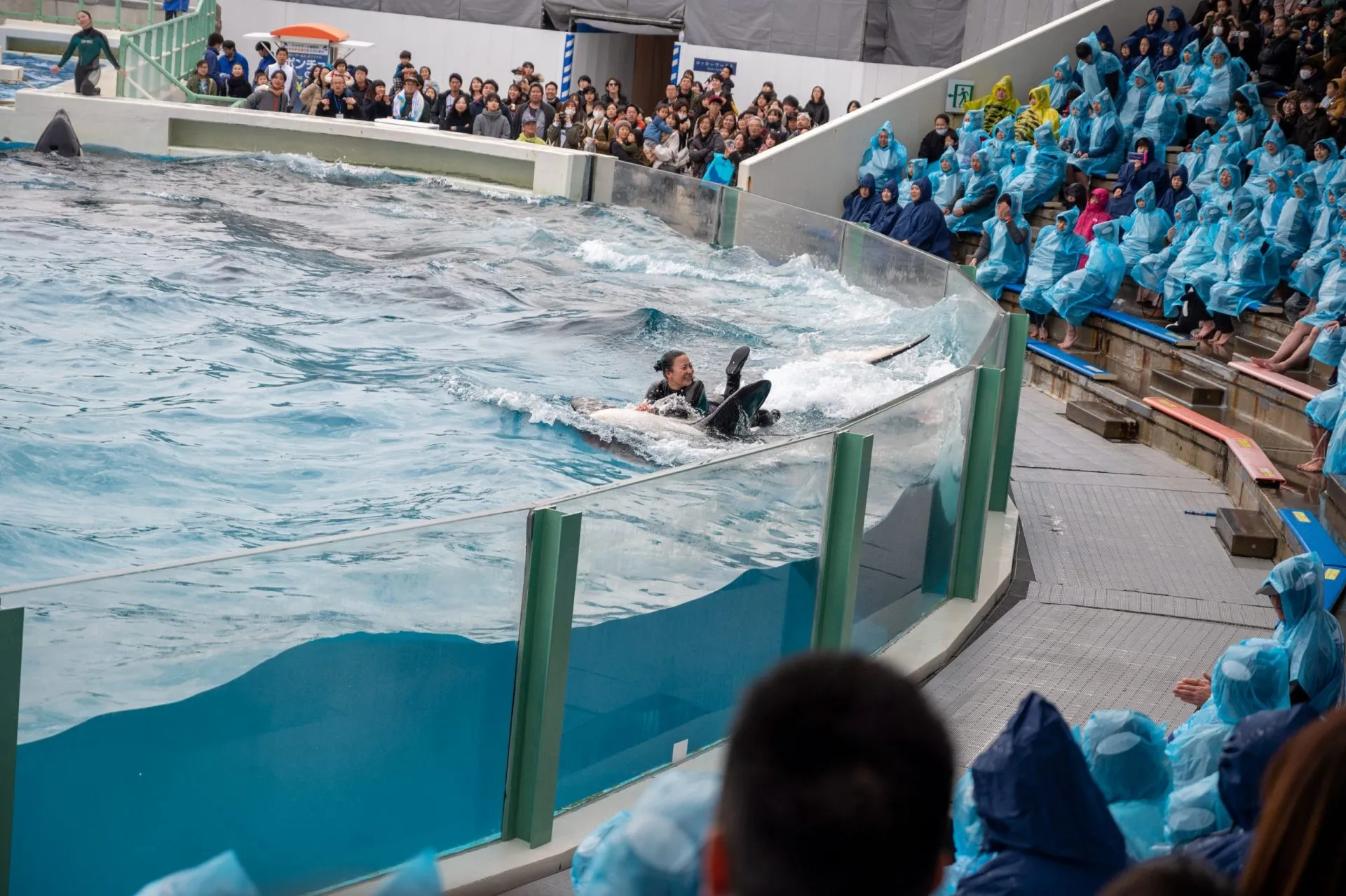 鴨川シーワールドの展示