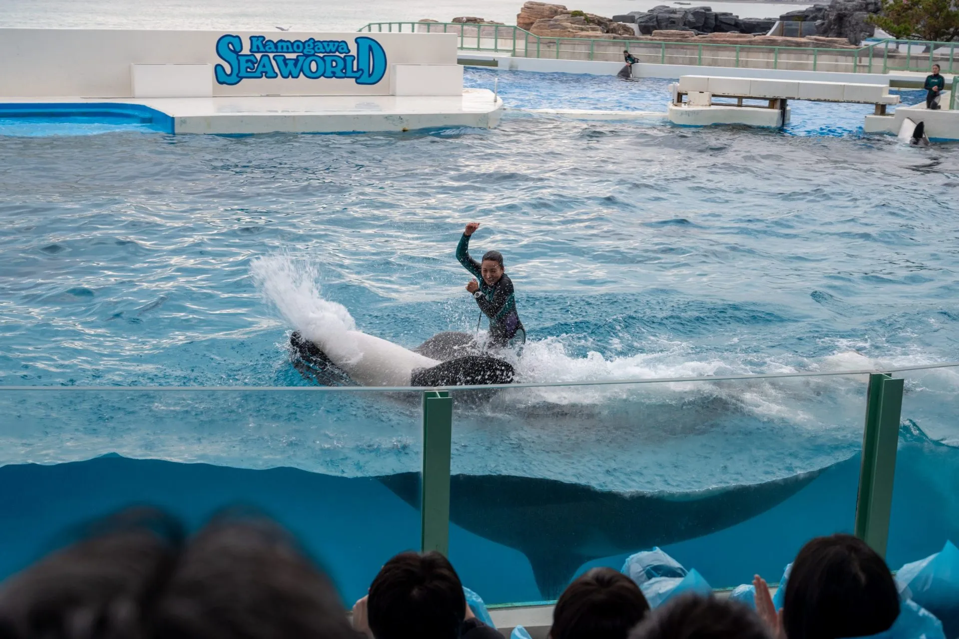 鴨川シーワールドの展示