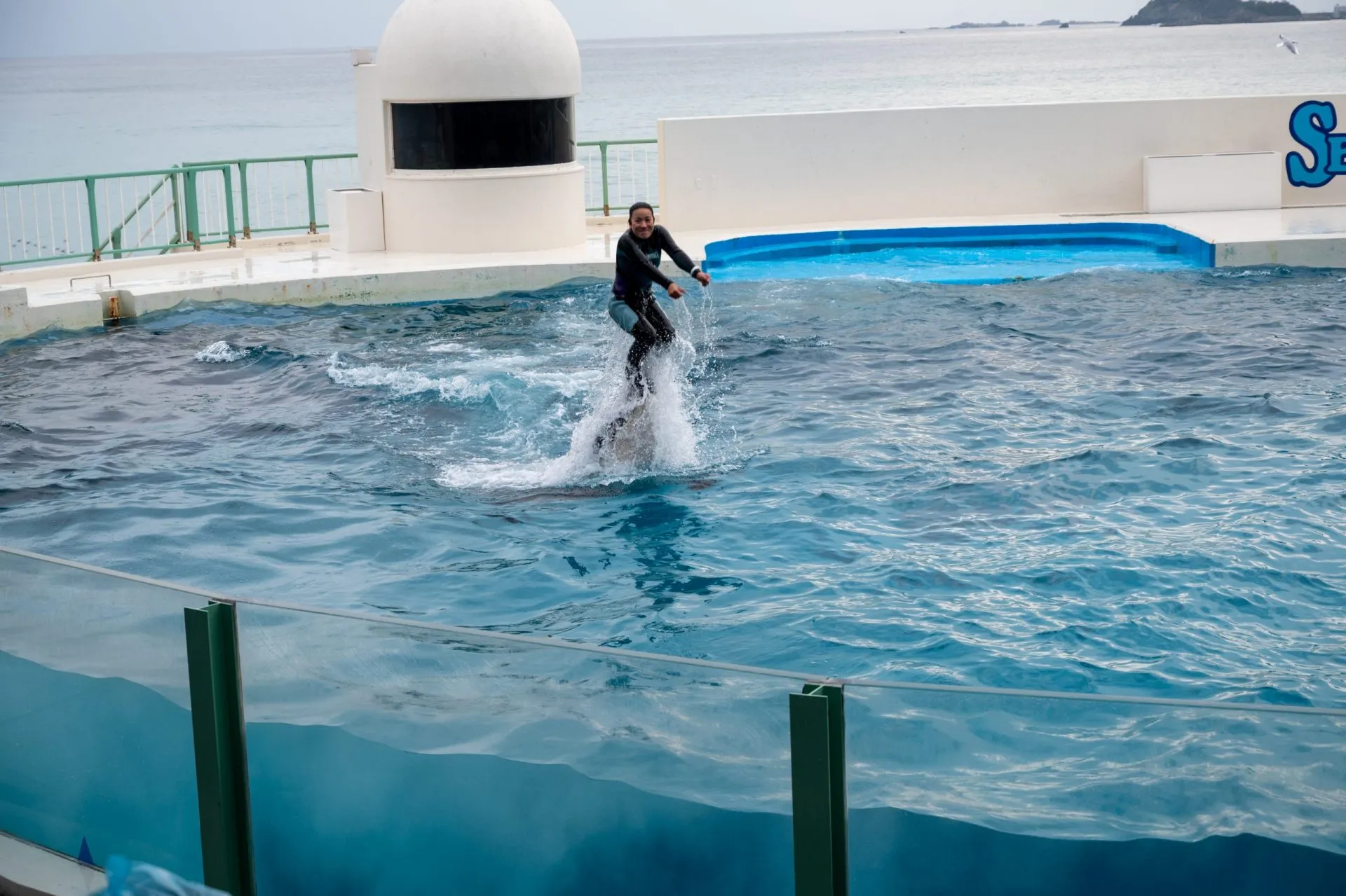 鴨川シーワールドの展示