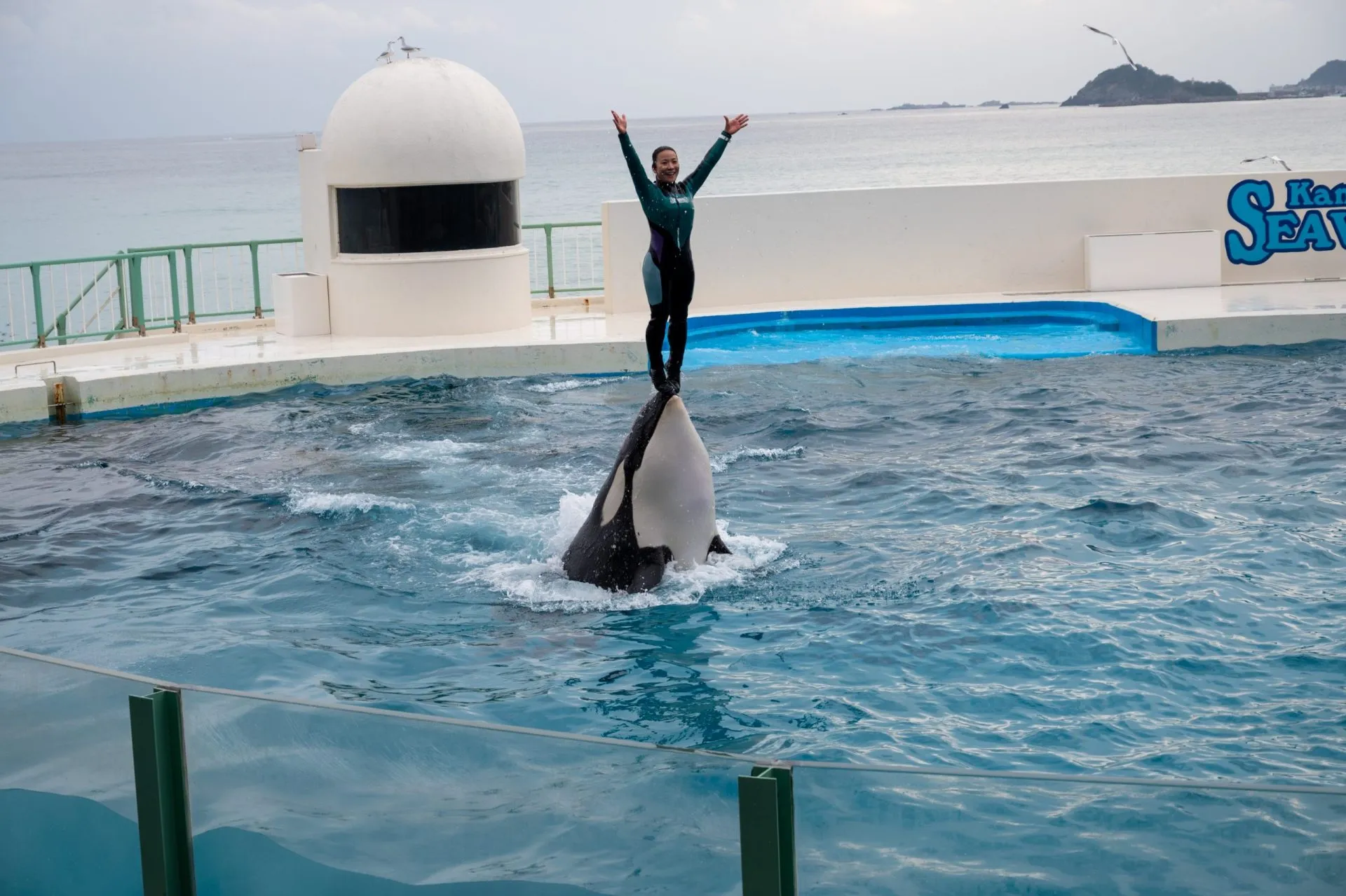 鴨川シーワールドの展示
