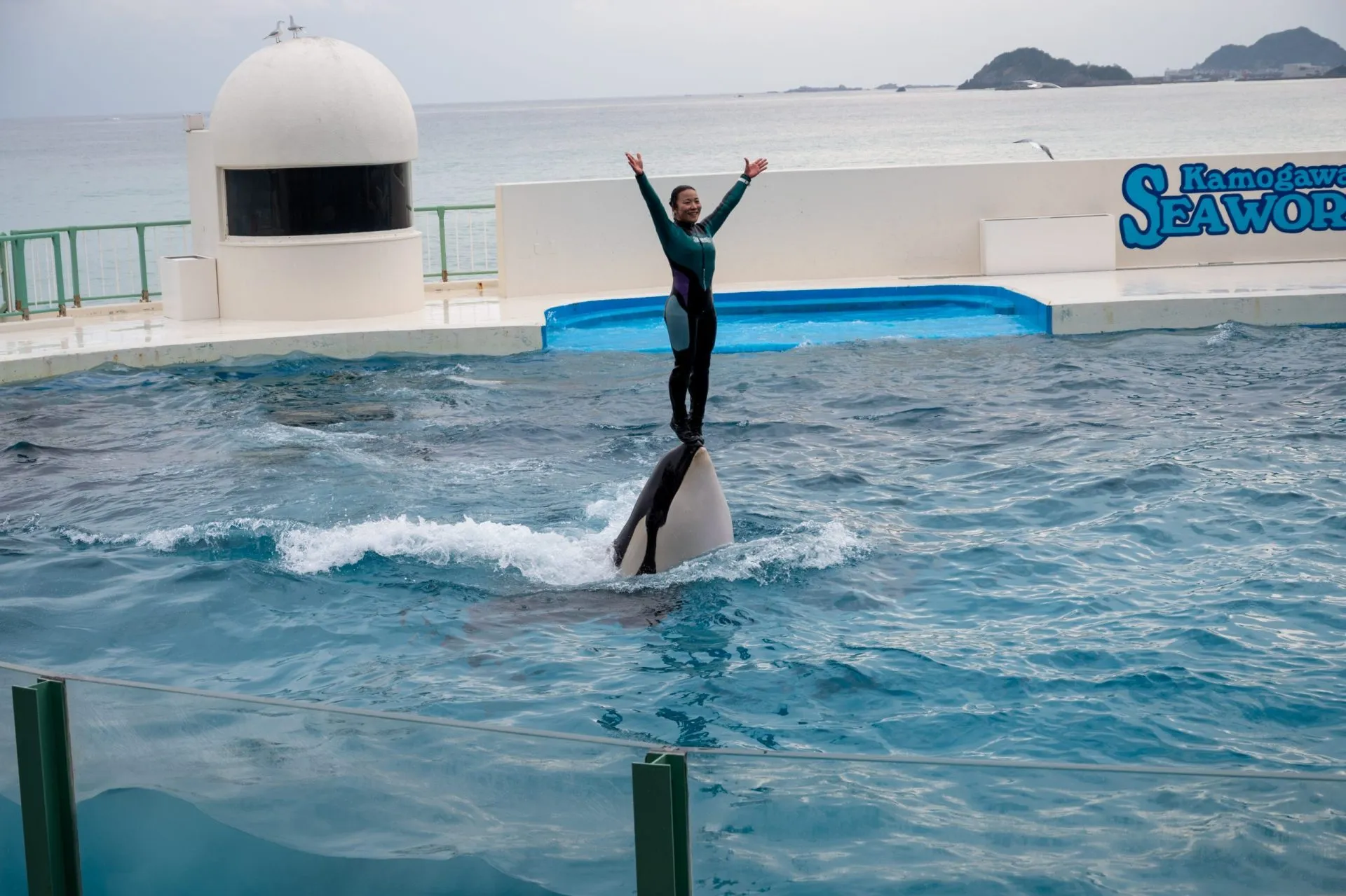 鴨川シーワールドの展示