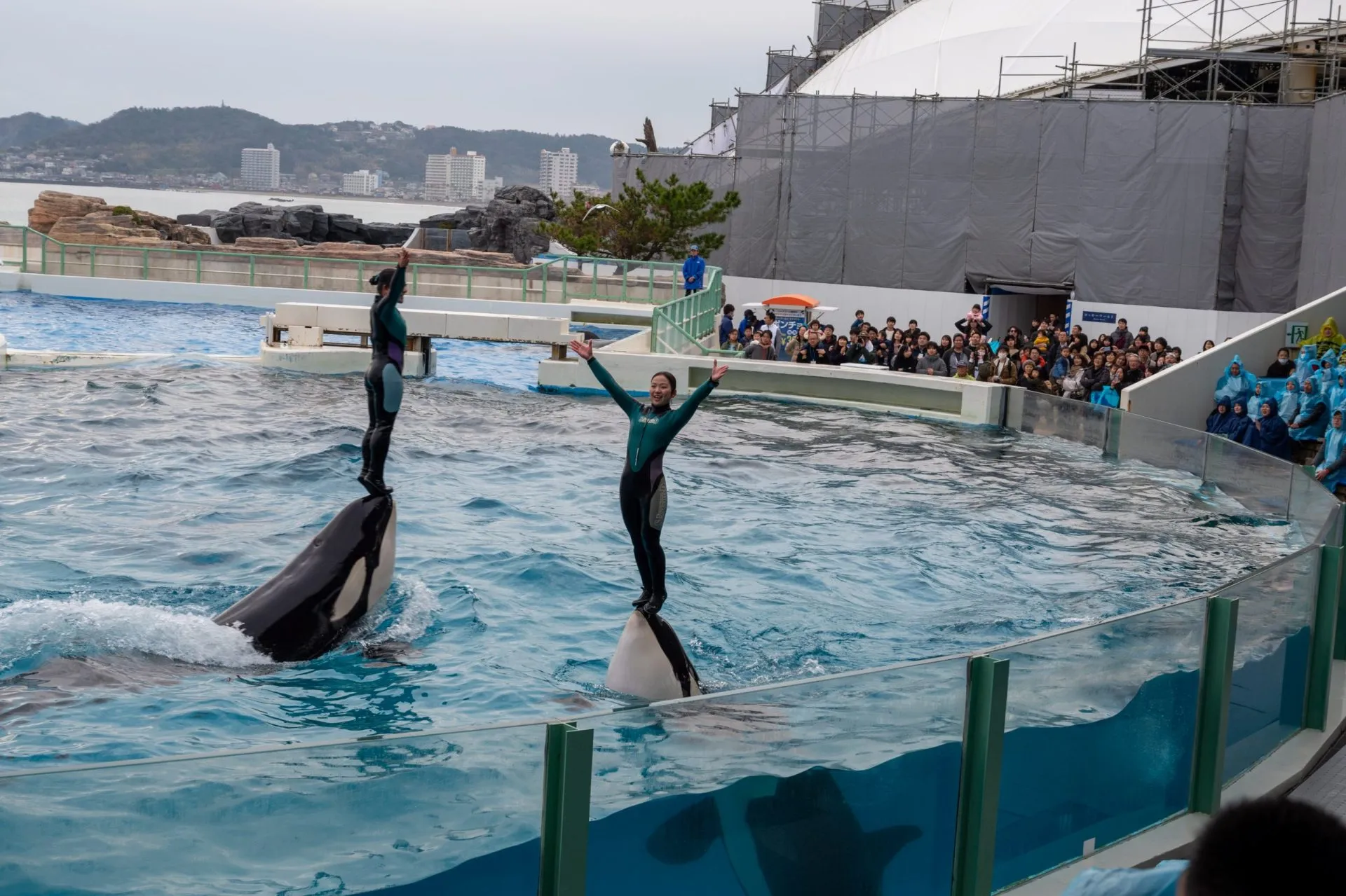 鴨川シーワールドの展示