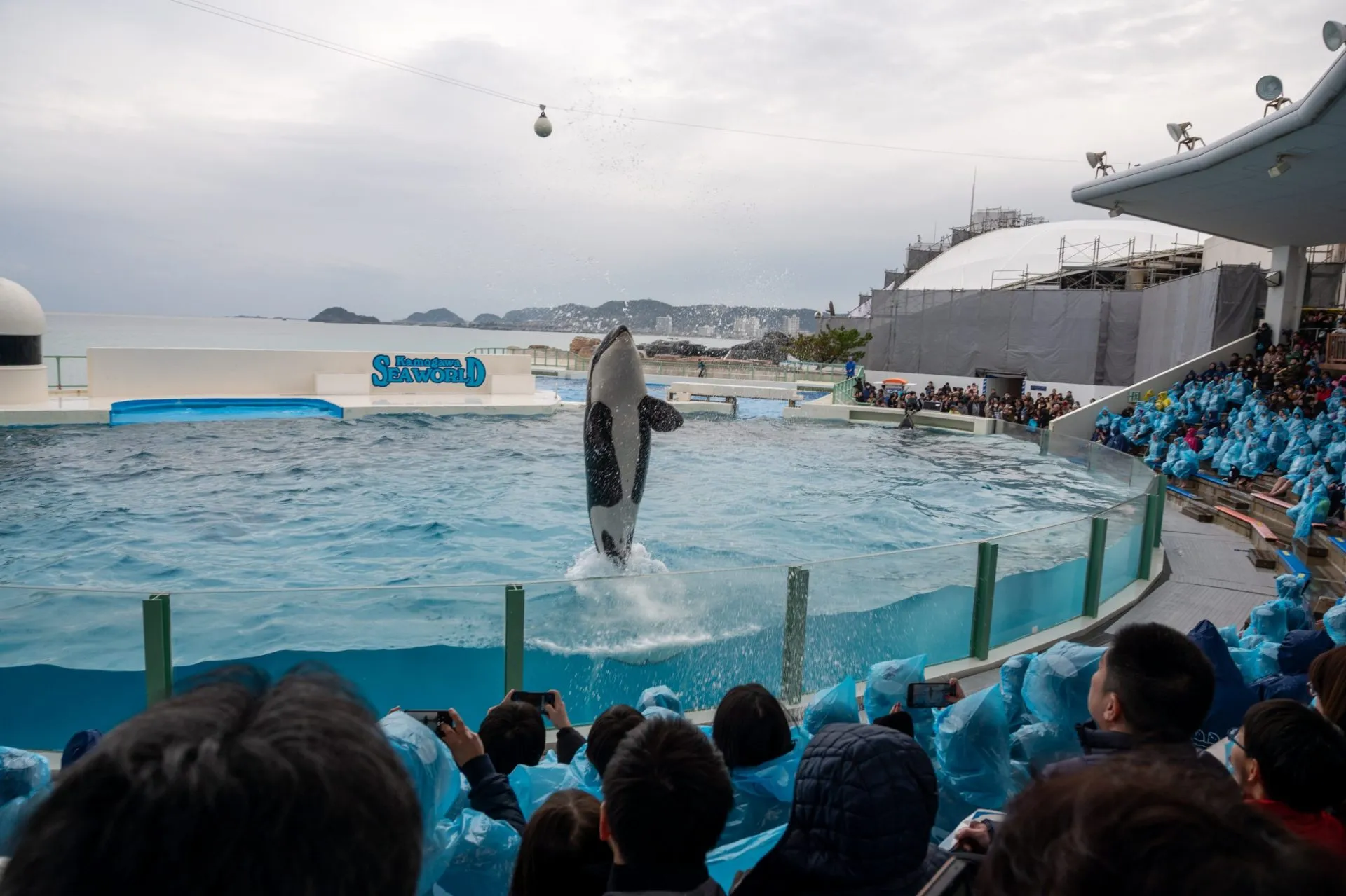 鴨川シーワールドの展示