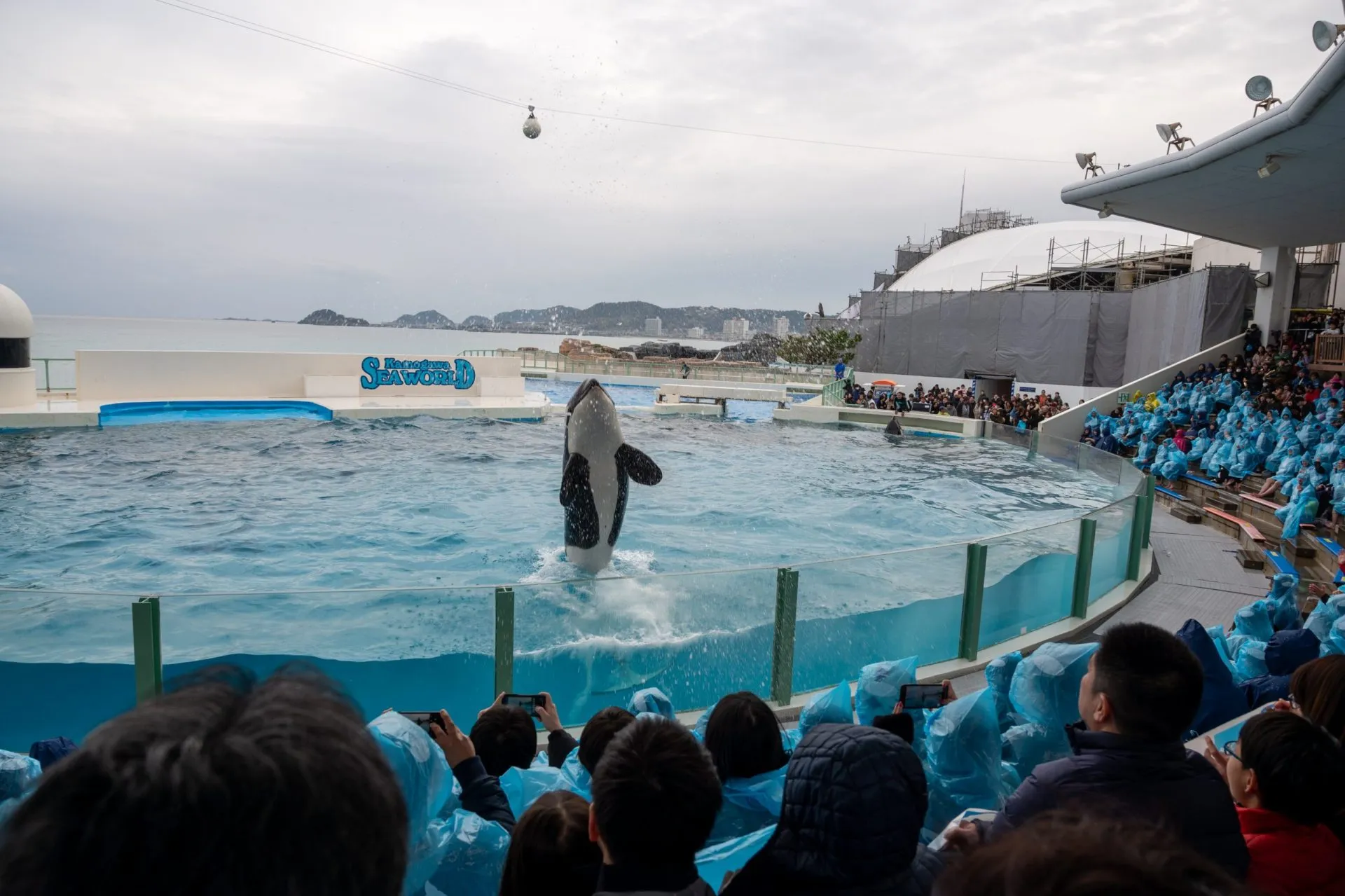 鴨川シーワールドの展示