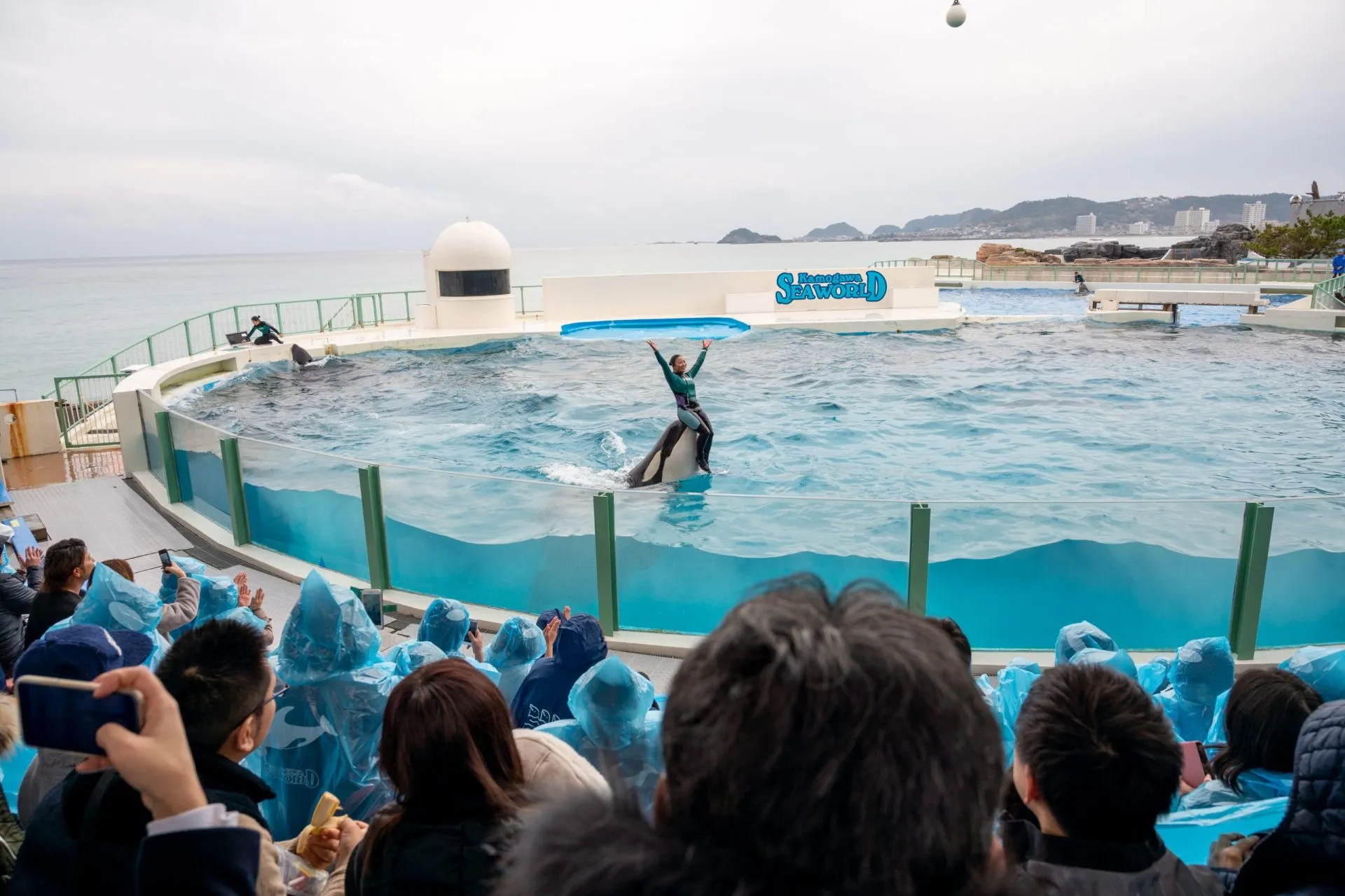 鴨川シーワールドの展示