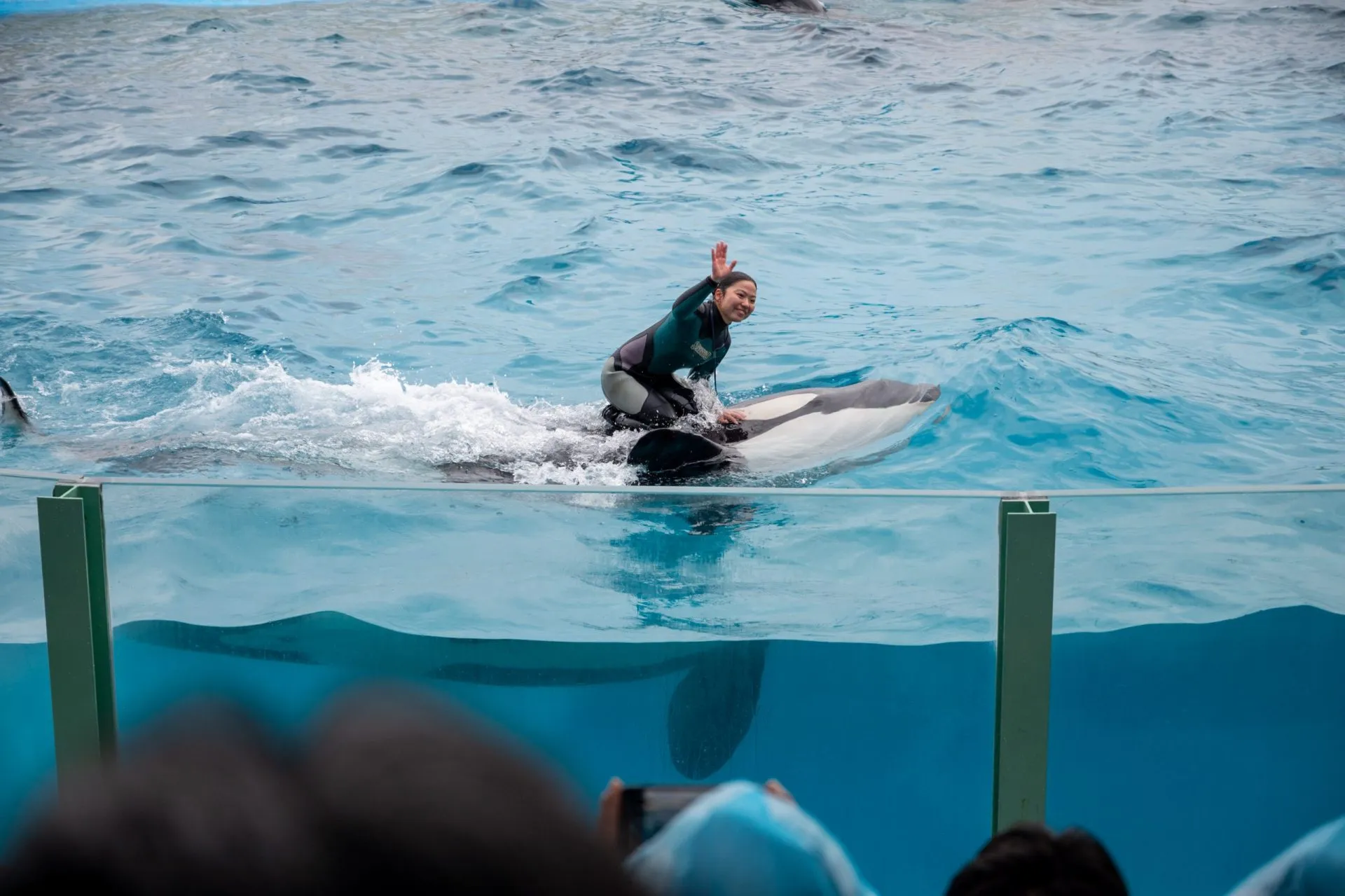 鴨川シーワールドの展示