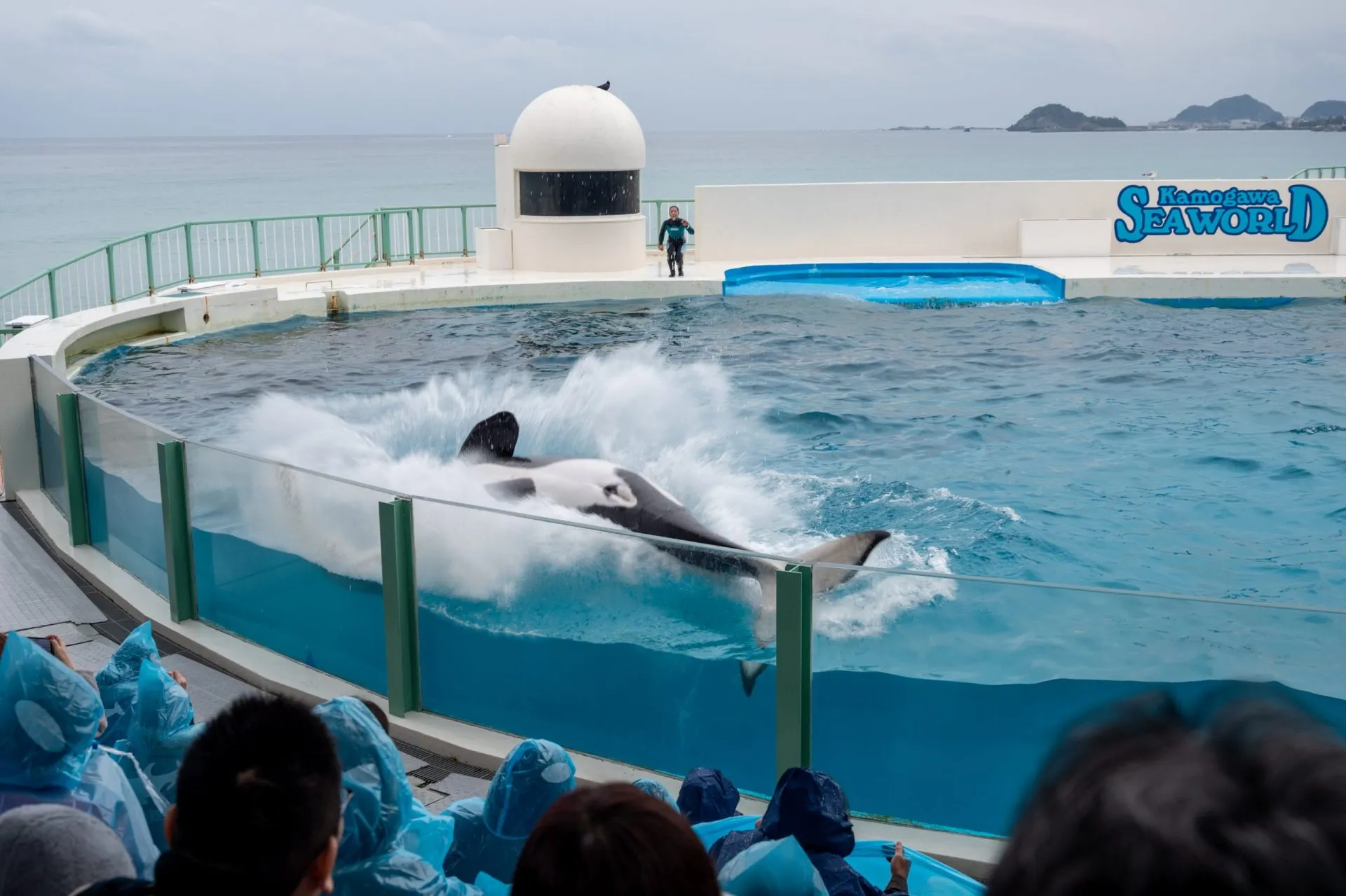 鴨川シーワールドの展示