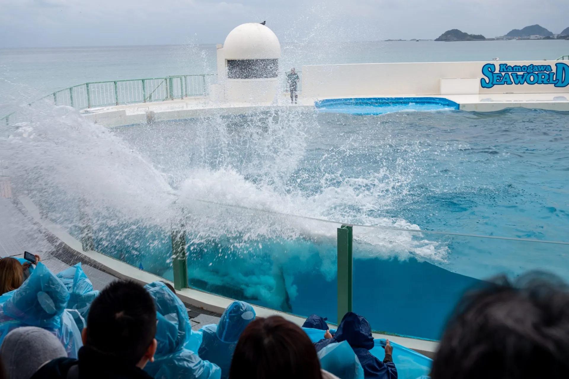 鴨川シーワールドの展示