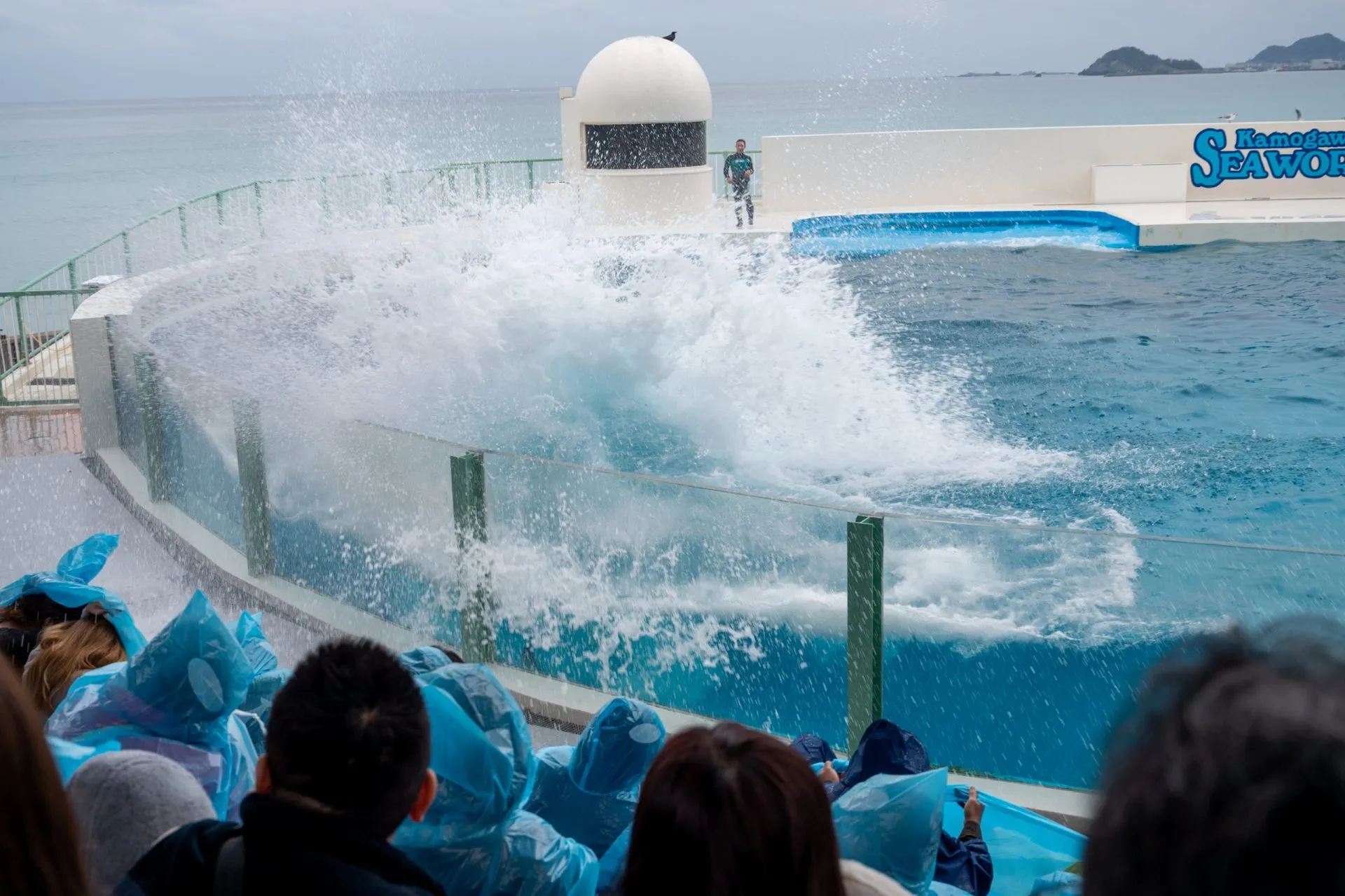 鴨川シーワールドの展示