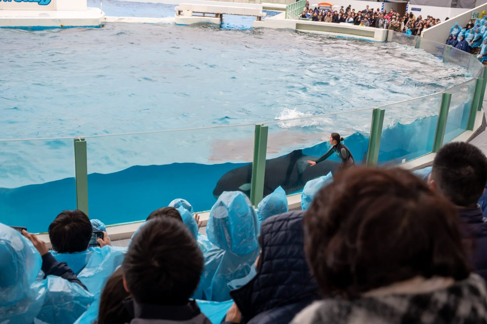 鴨川シーワールドの展示