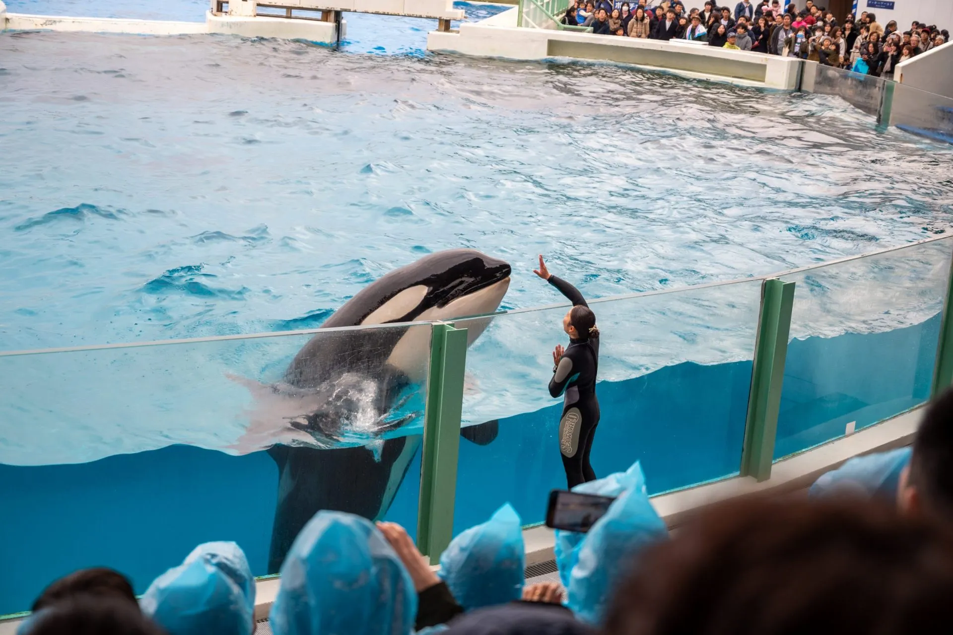 鴨川シーワールドの展示