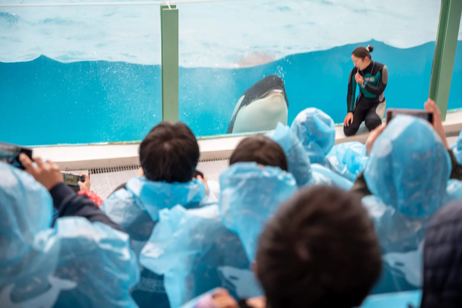 鴨川シーワールドの展示