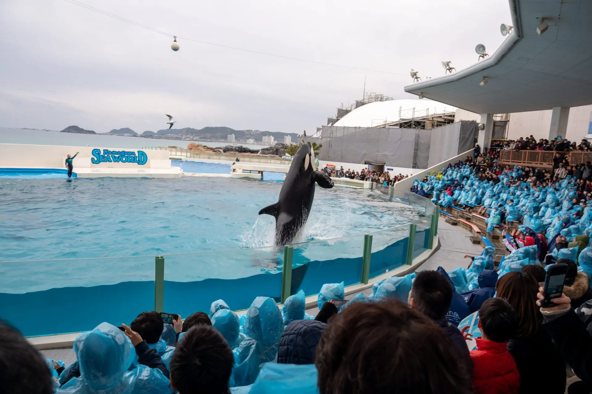 鴨川シーワールドの展示
