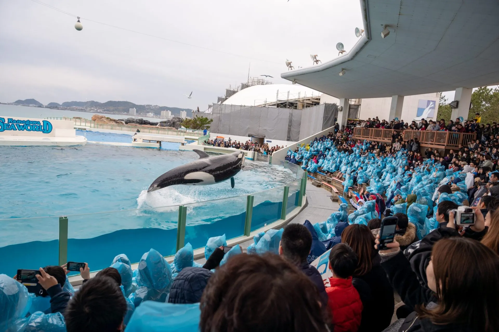 鴨川シーワールドの展示