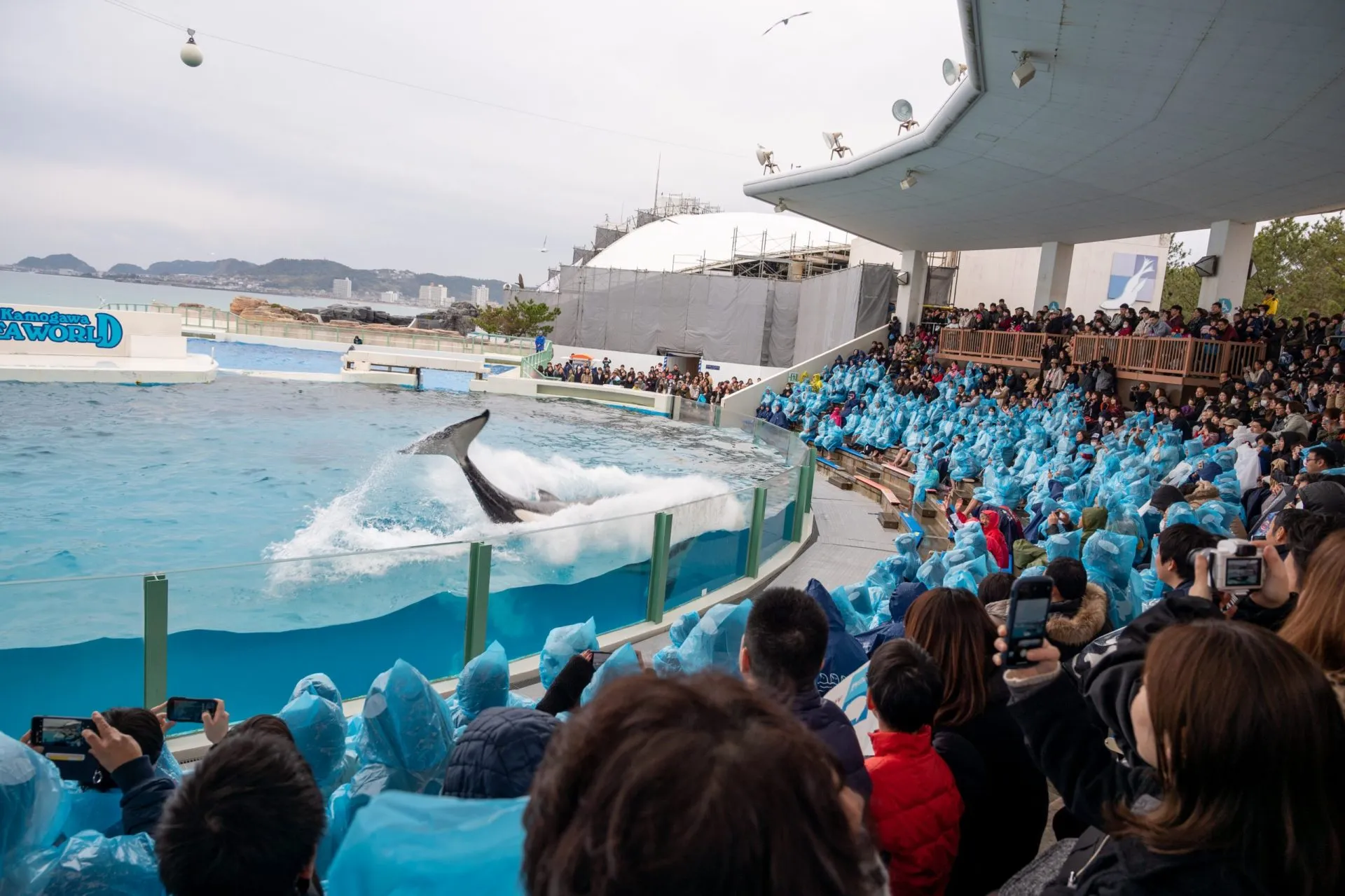 鴨川シーワールドの展示