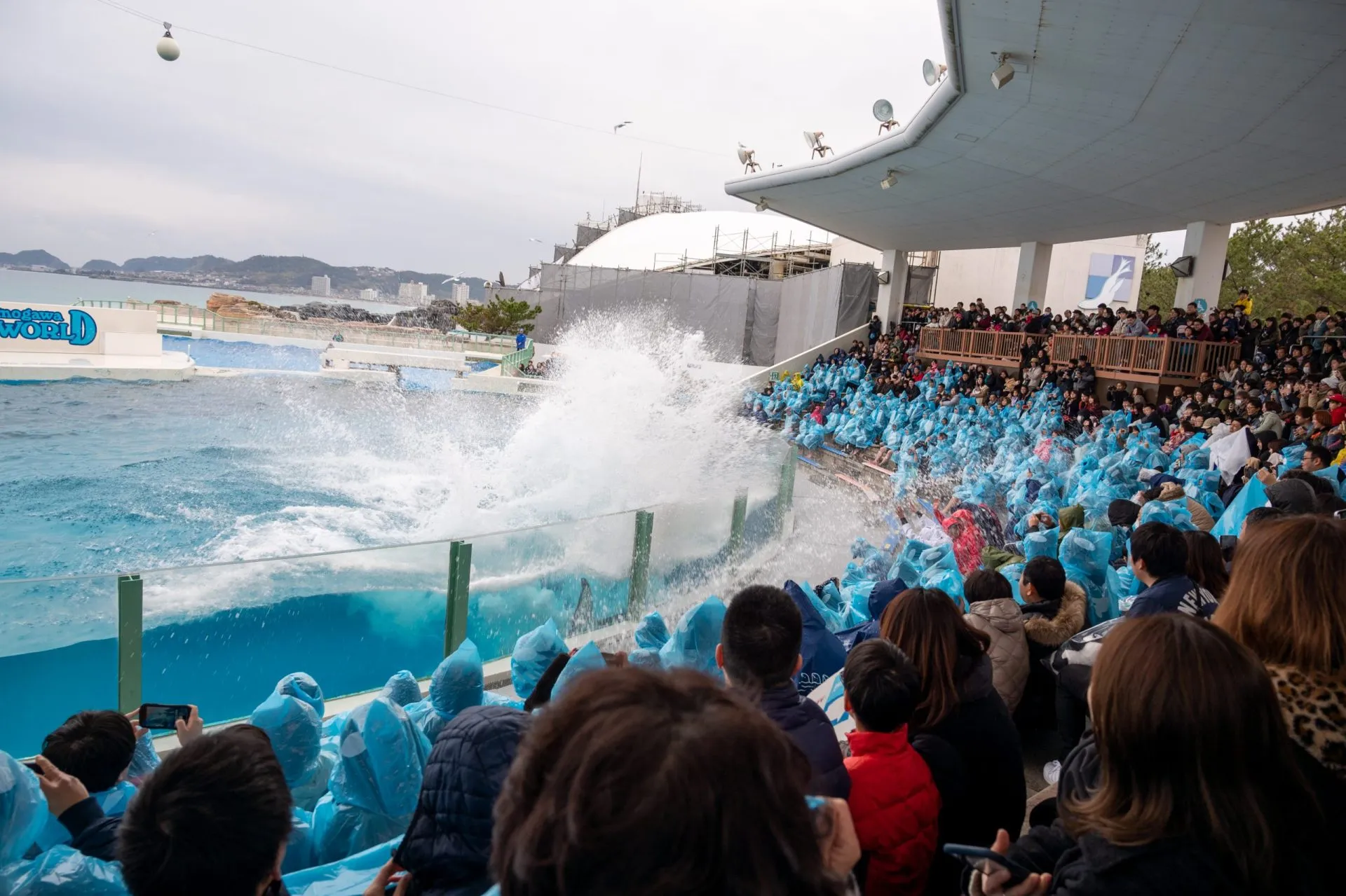 鴨川シーワールドの展示