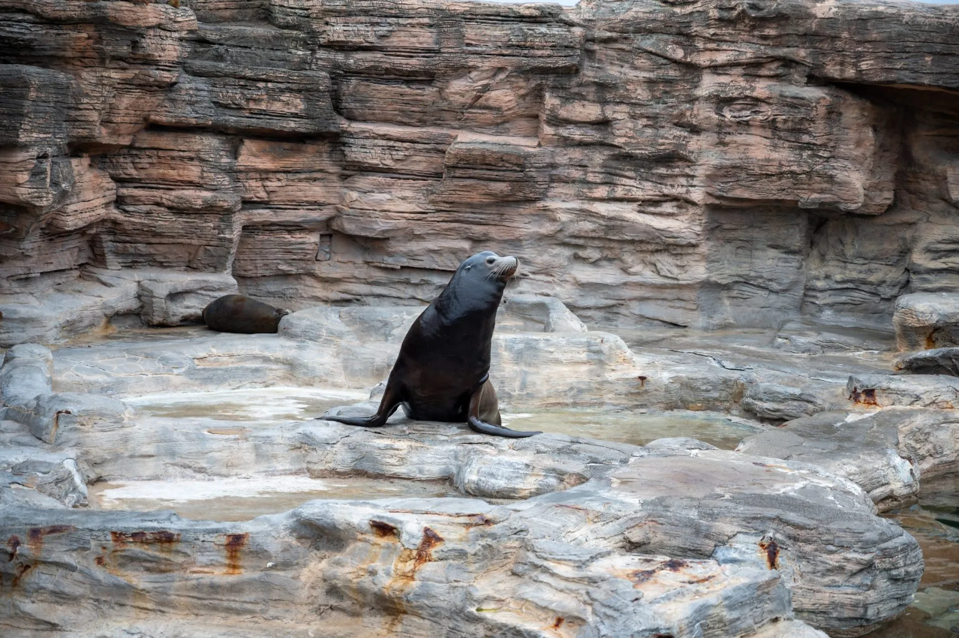 鴨川シーワールドの展示