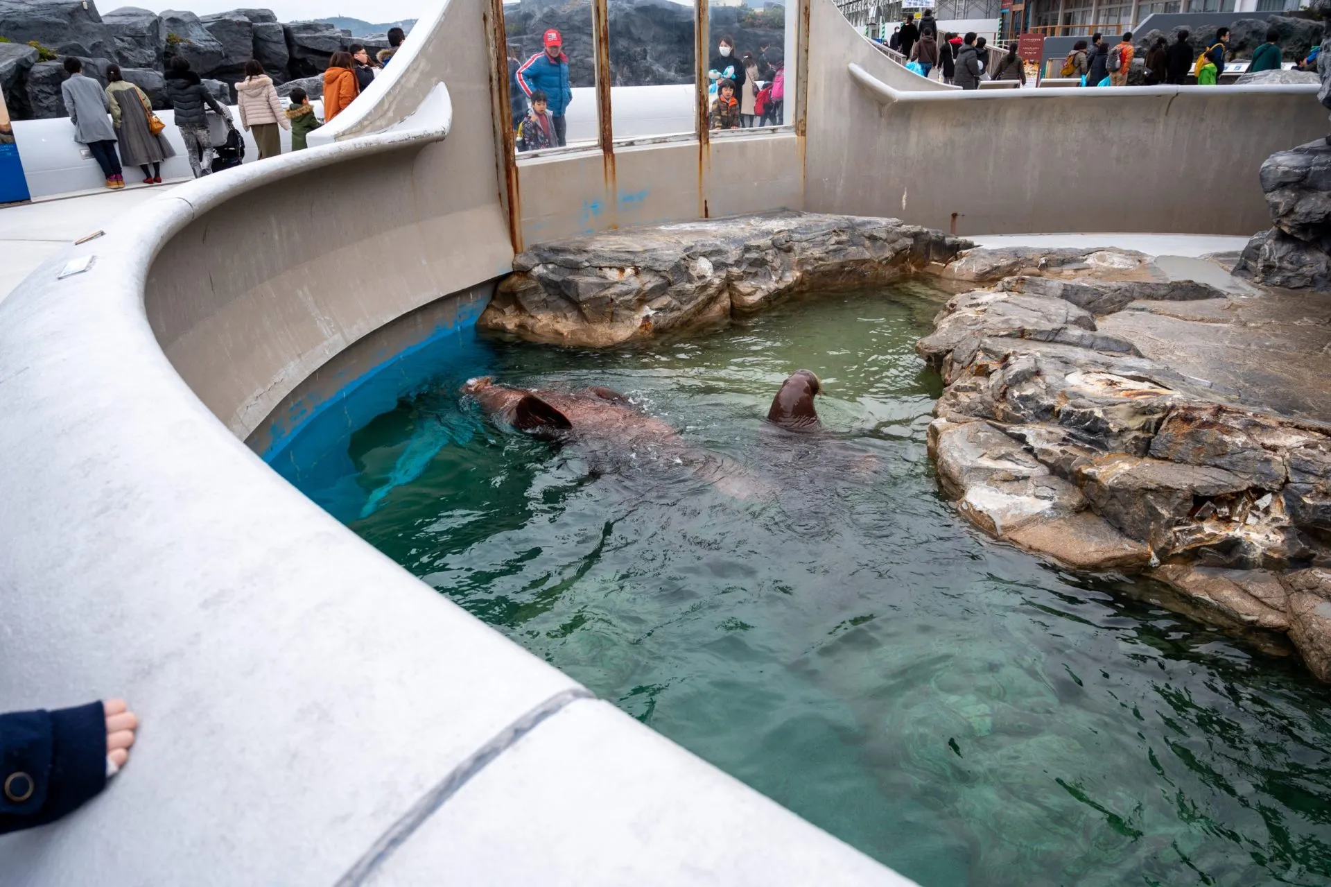 鴨川シーワールドの展示